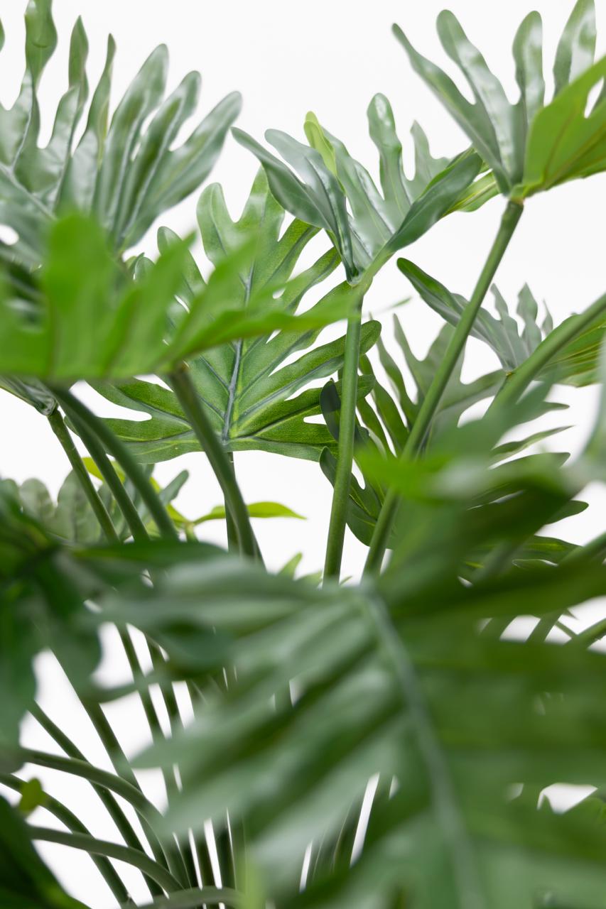 Philodendron Kunstplant 75cm