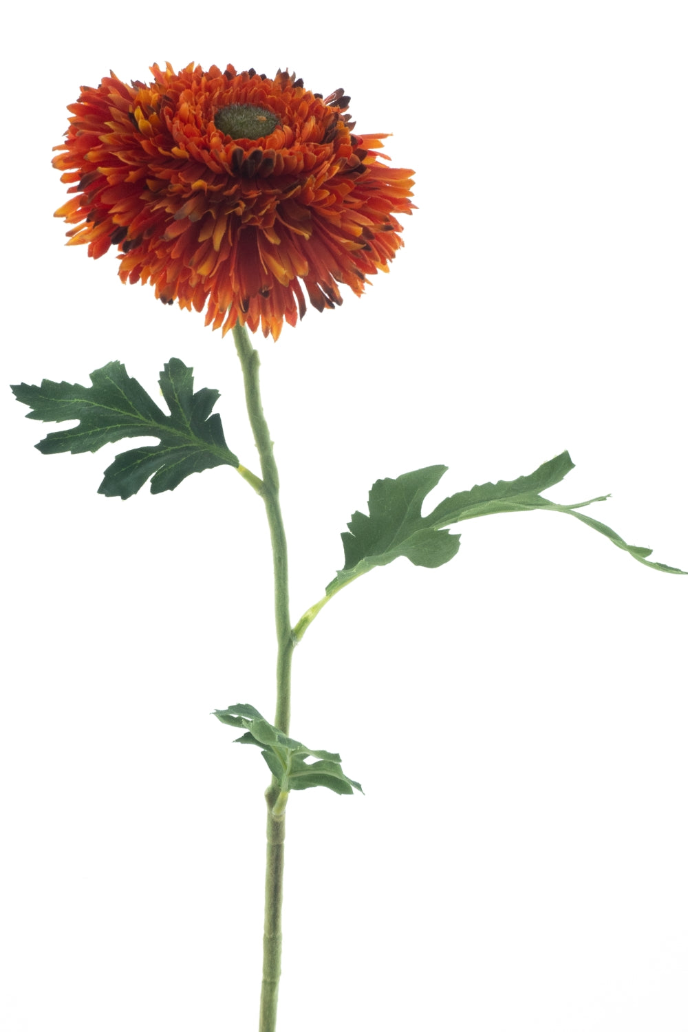 Wilde Gerbera Kunstbloem 67cm Oranje