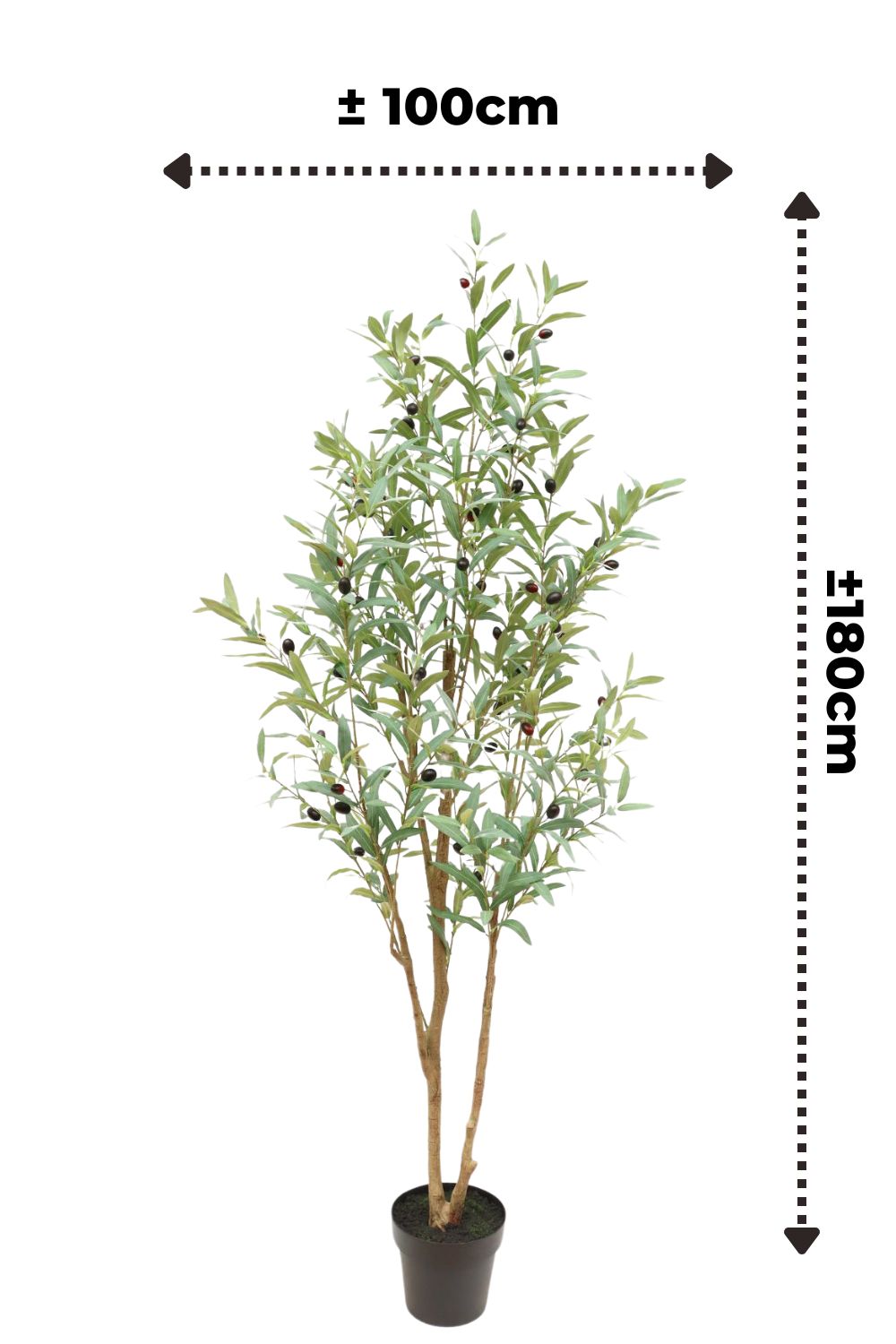 afmetingen kunst olijfboom 180cm