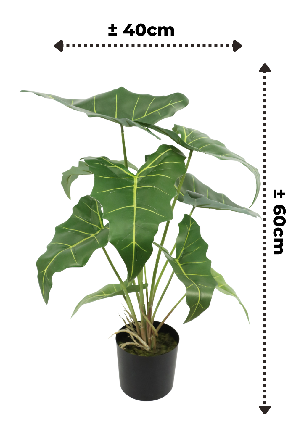 afmetingen Alocasia kunstplant 60cm