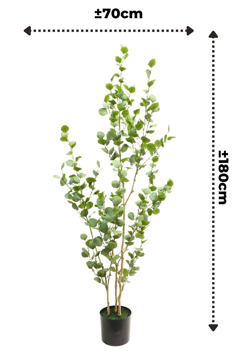 Eucalyptus Kunstplant 180cm