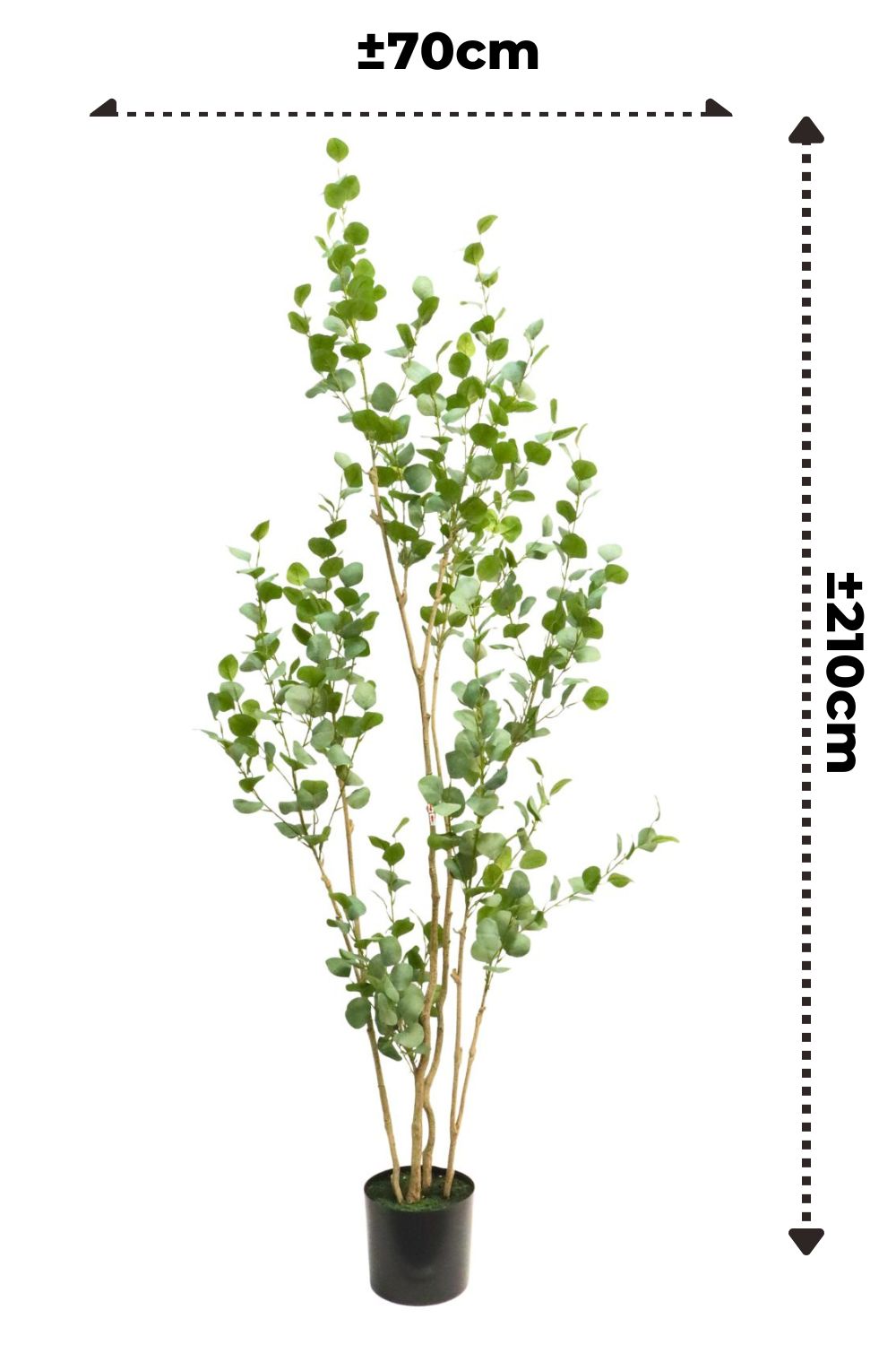 Eucalyptus Kunstplant 210cm