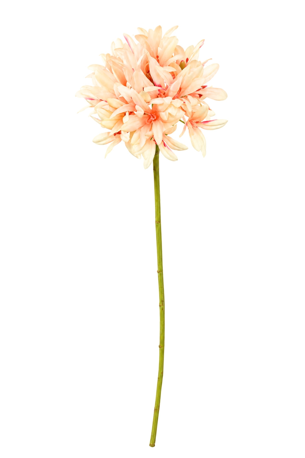 Agapanthus Kunstbloem 77 roze