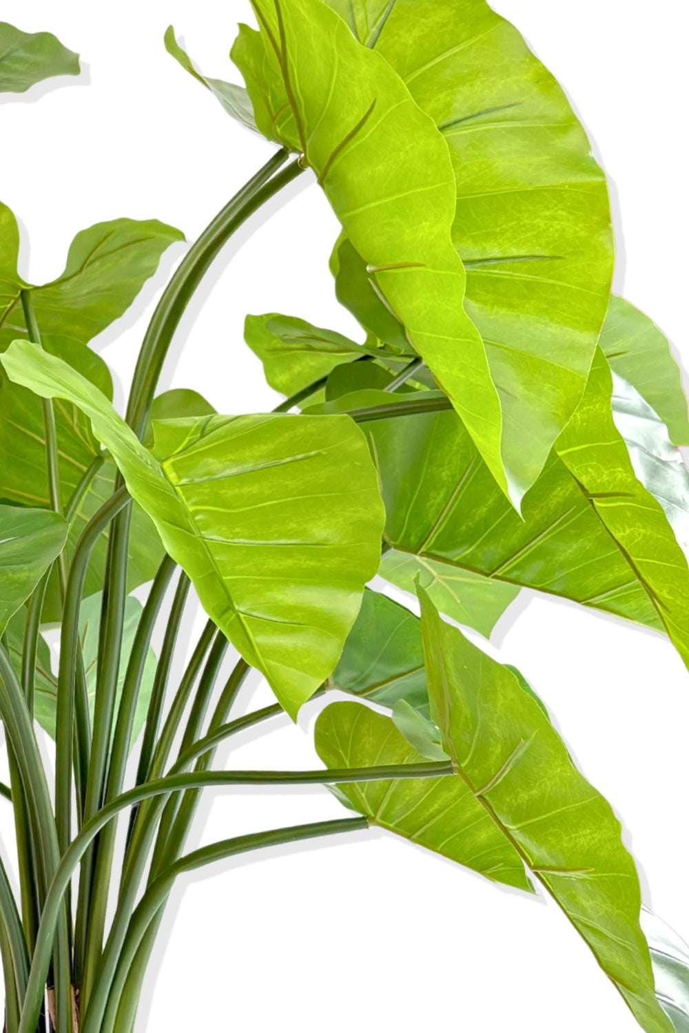 Alocasia Kunstplant 100cm