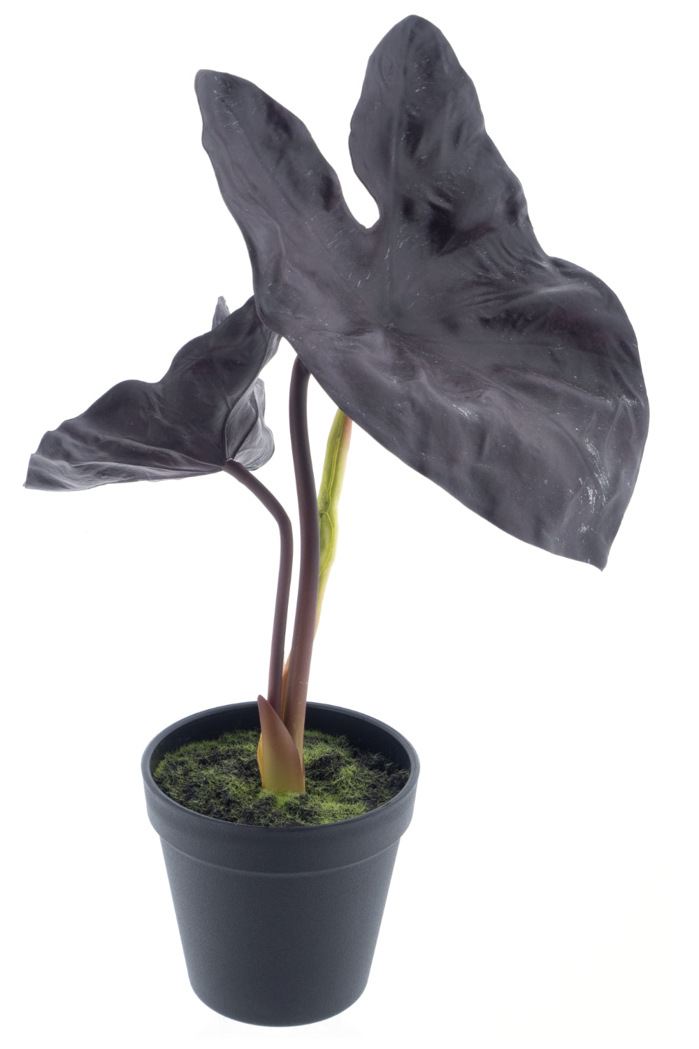 Alocasia Kunstplant 40cm Aubergine UV