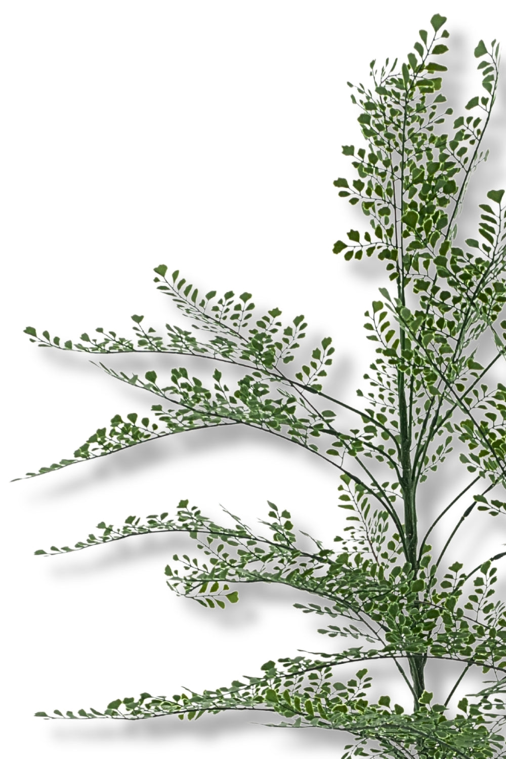 Maidenhair Varen Kunstplant 140cm