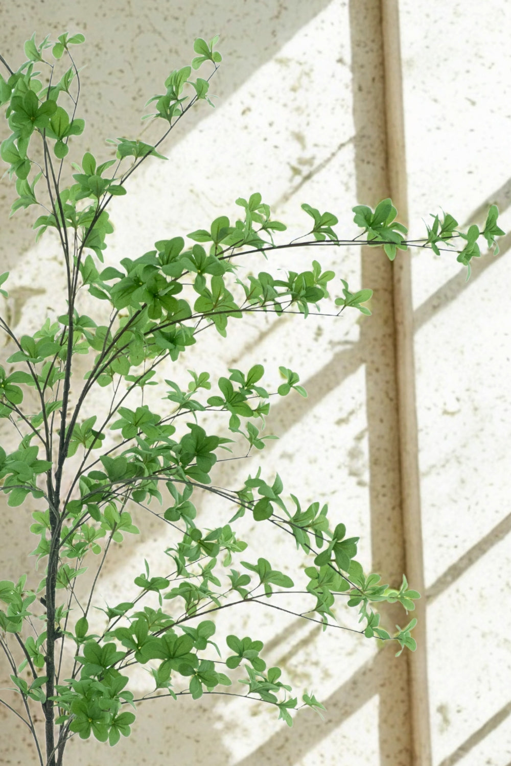 Bucida Kunstboom 170cm