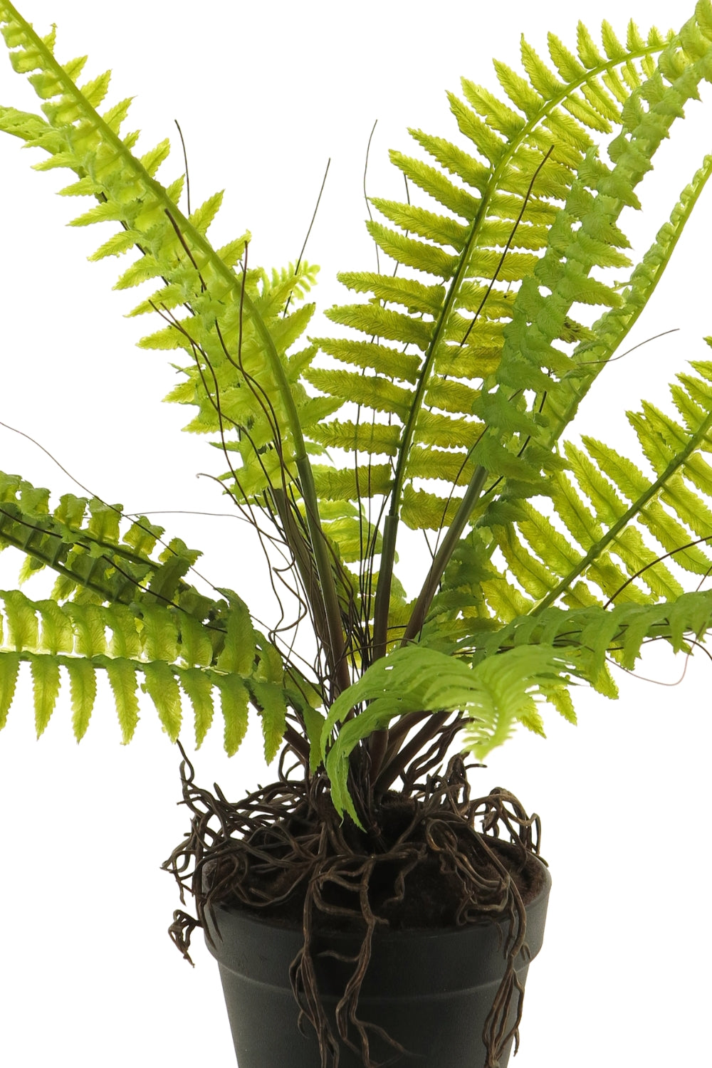 Boston Varen Kunstplant 40cm