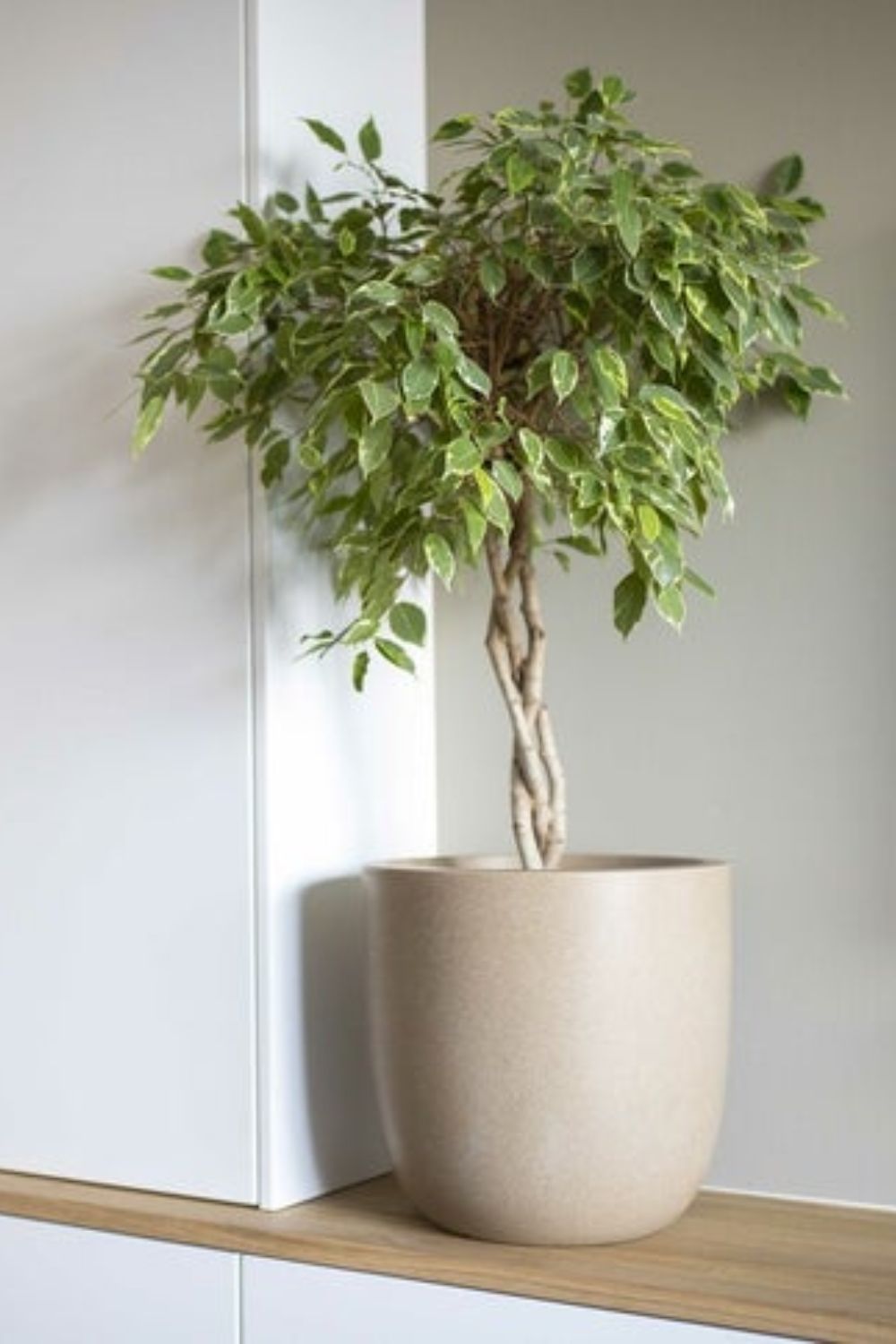 Capi bloempot Smooth bol 35x34 Terrazzo