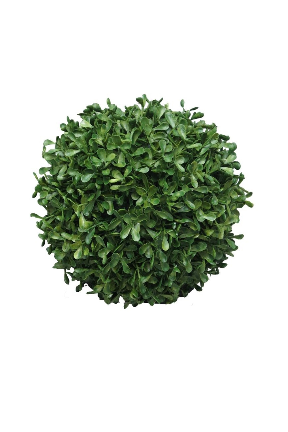Kunst Buxus Bol 20cm UV