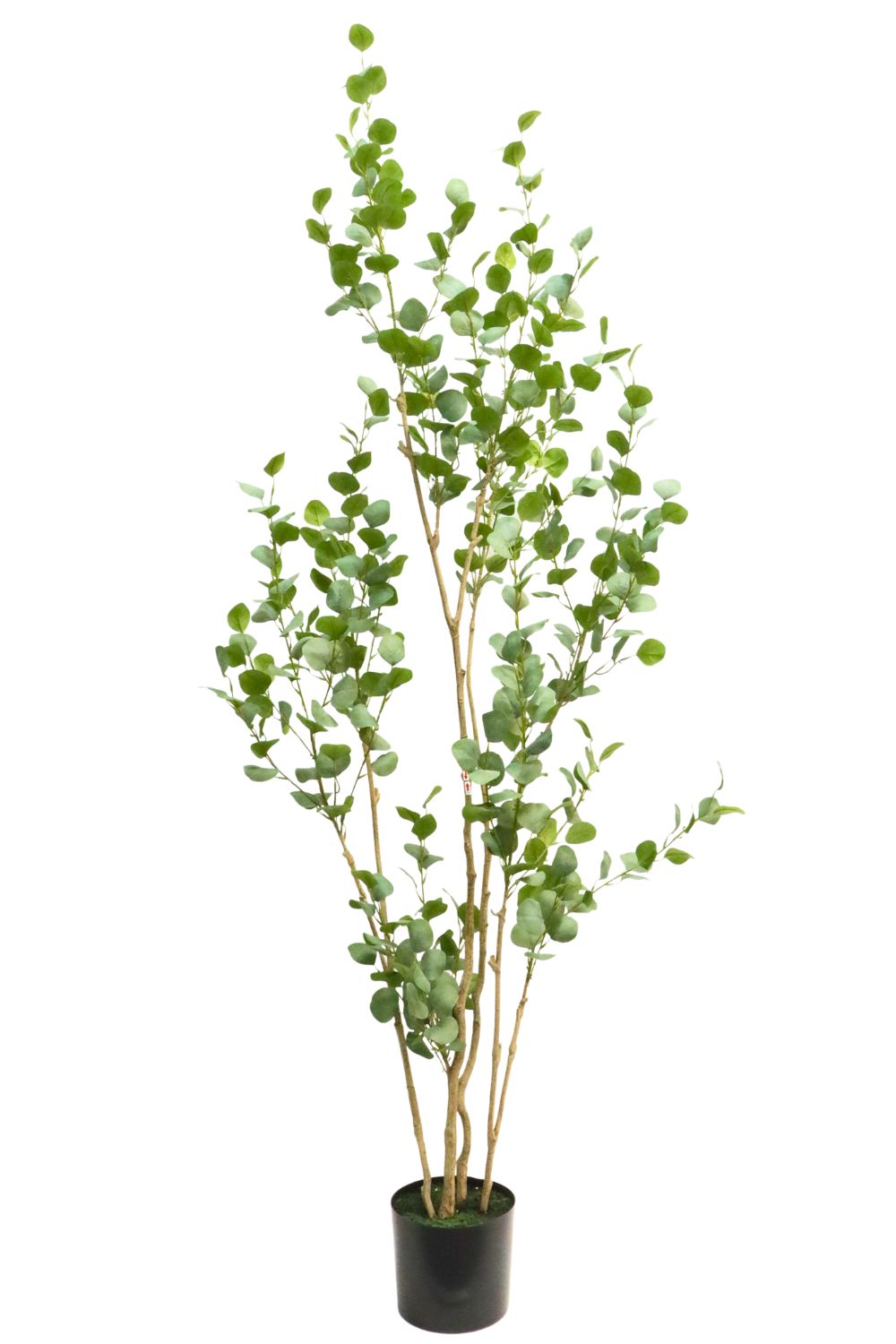 Emerald Kunstboom Eucalyptus Globulus 195cm