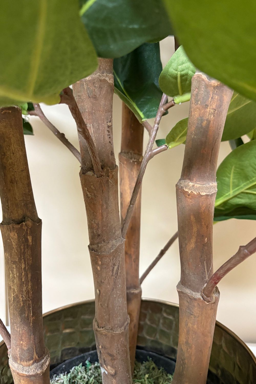 Ficus Kunstplant 120cm