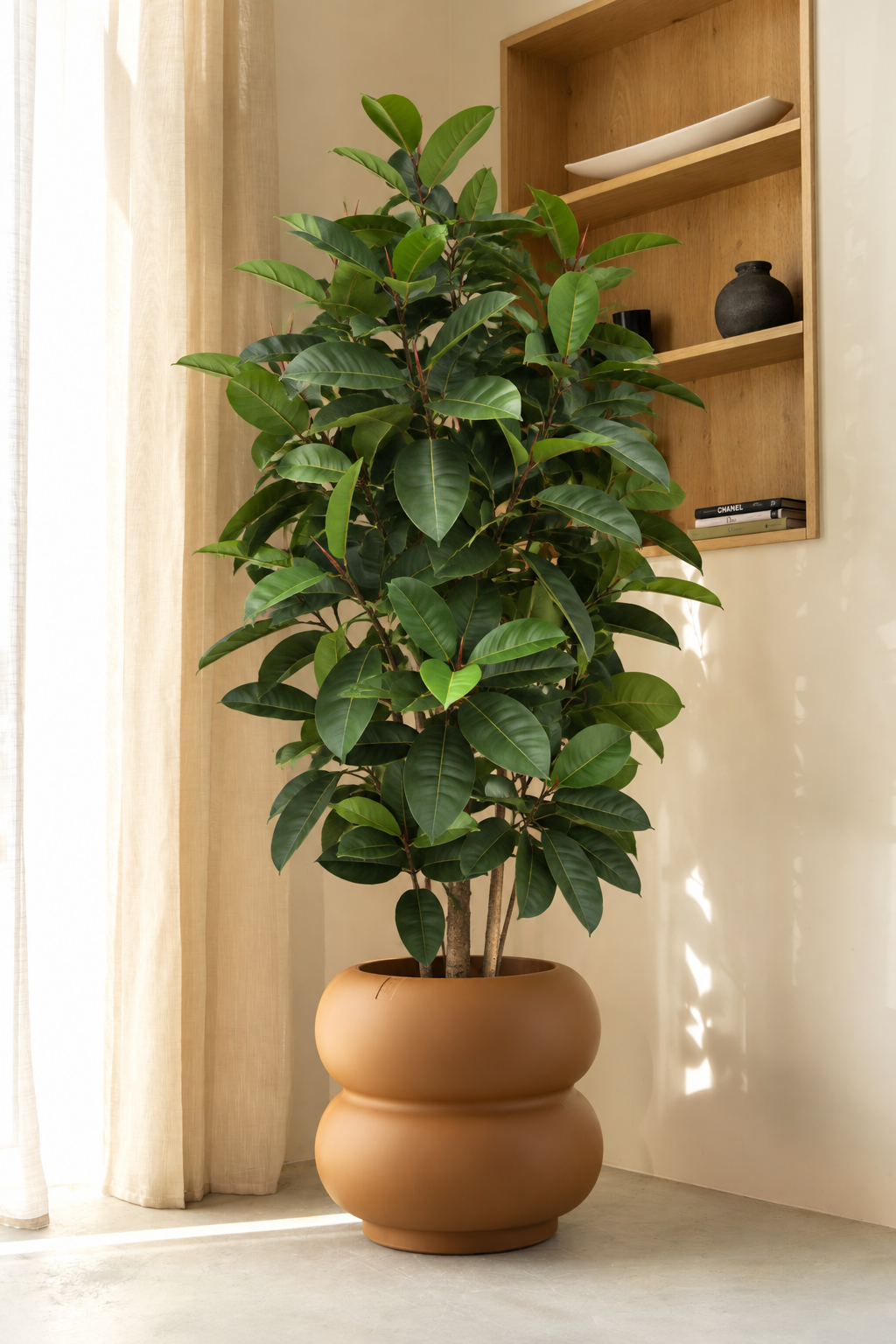 Ficus Kunstplant Elastica 180cm