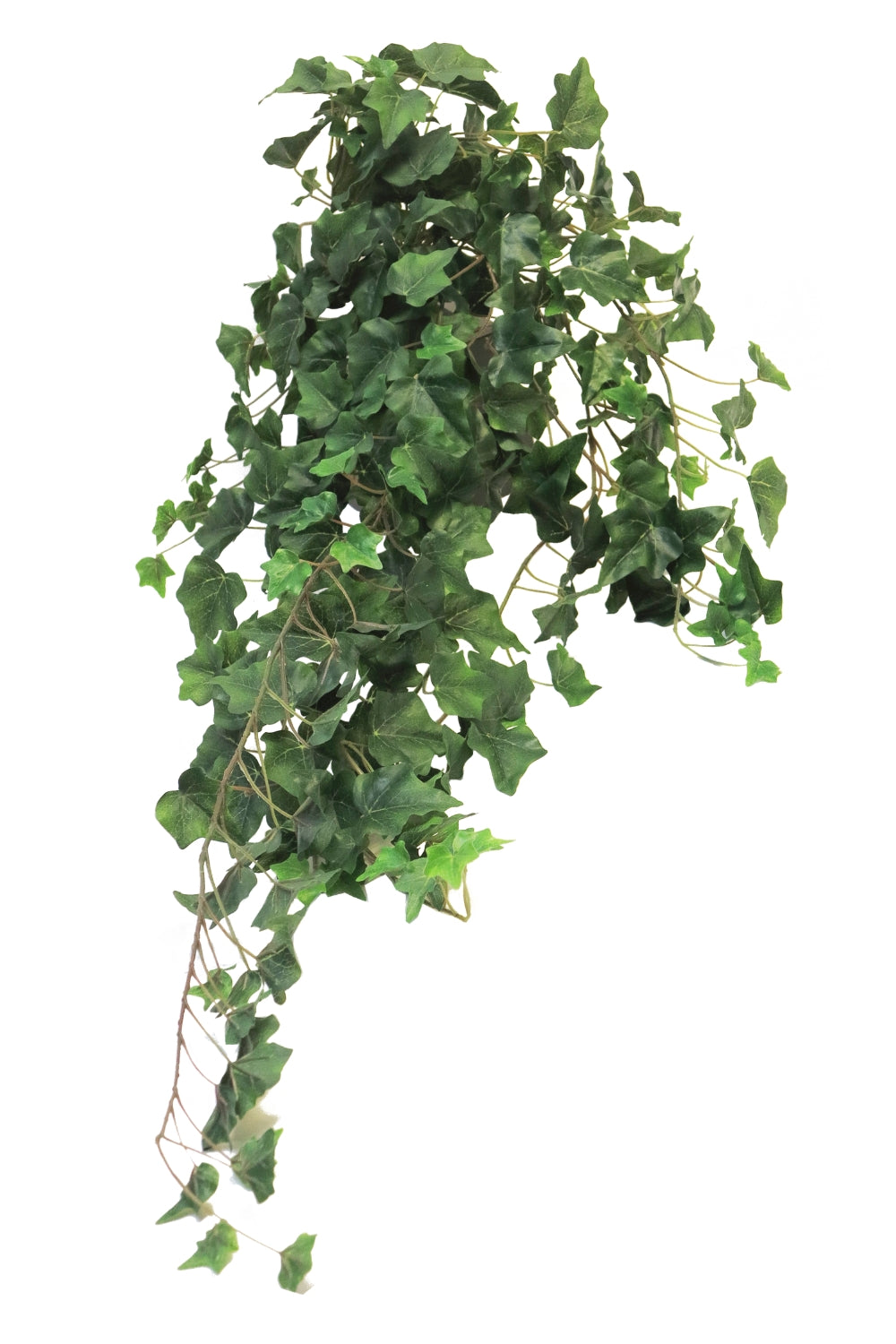 Hedera Hanger 100cm