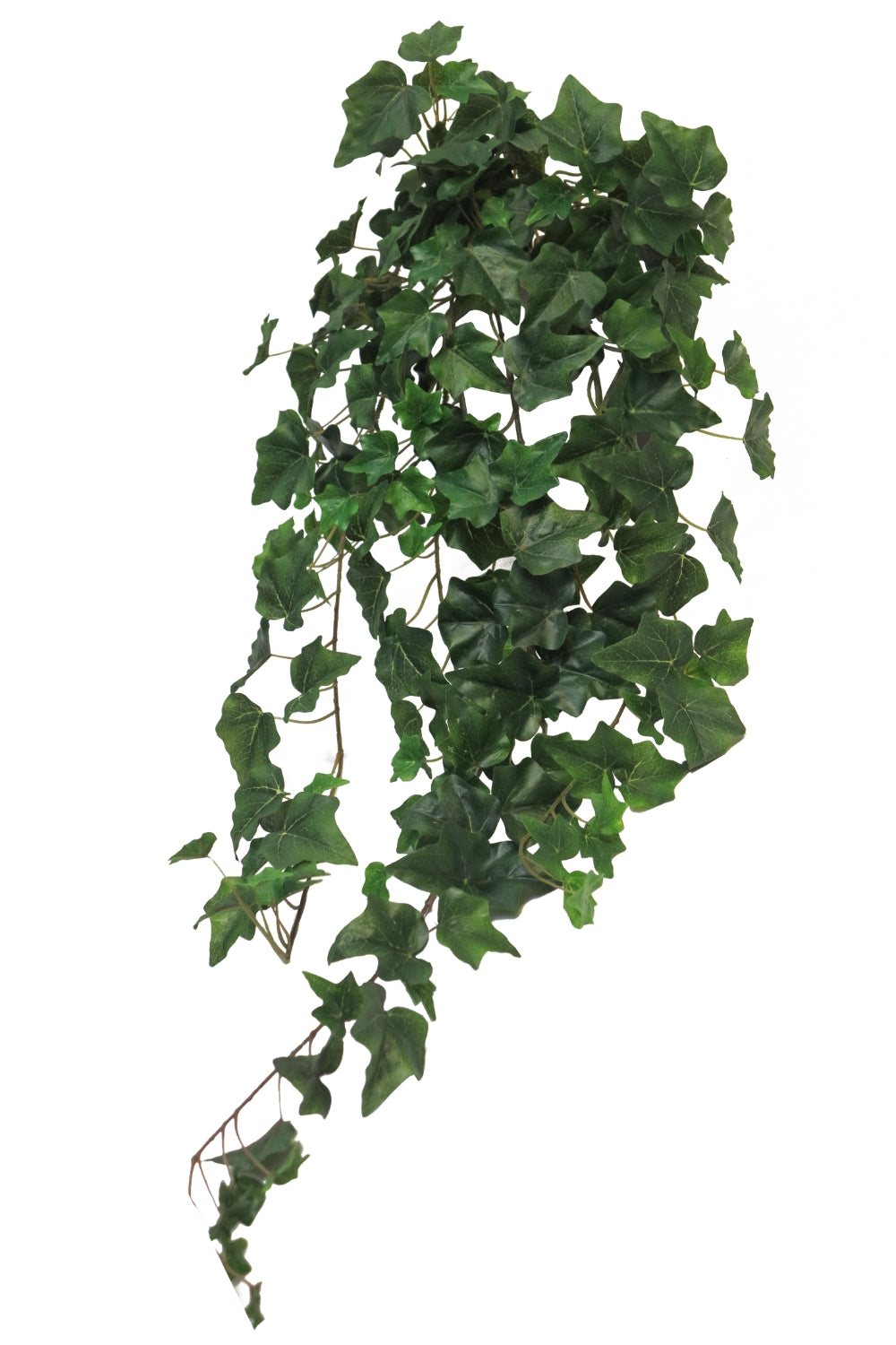 Hedera Hanger 86cm