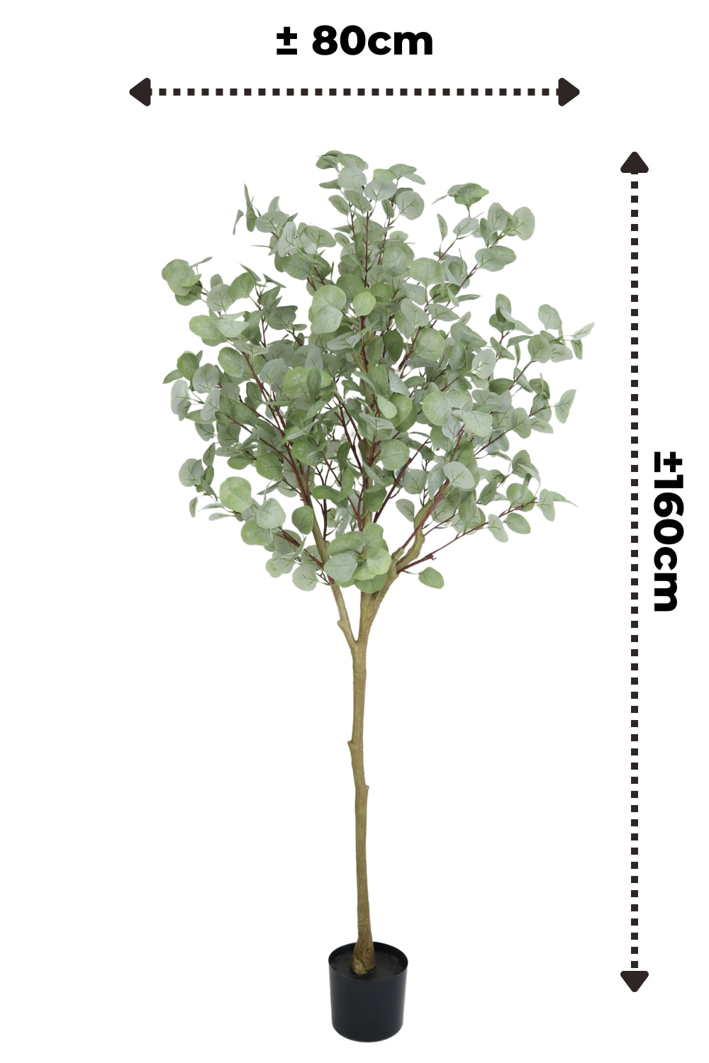 Eucalyptus Kunstboom 160cm
