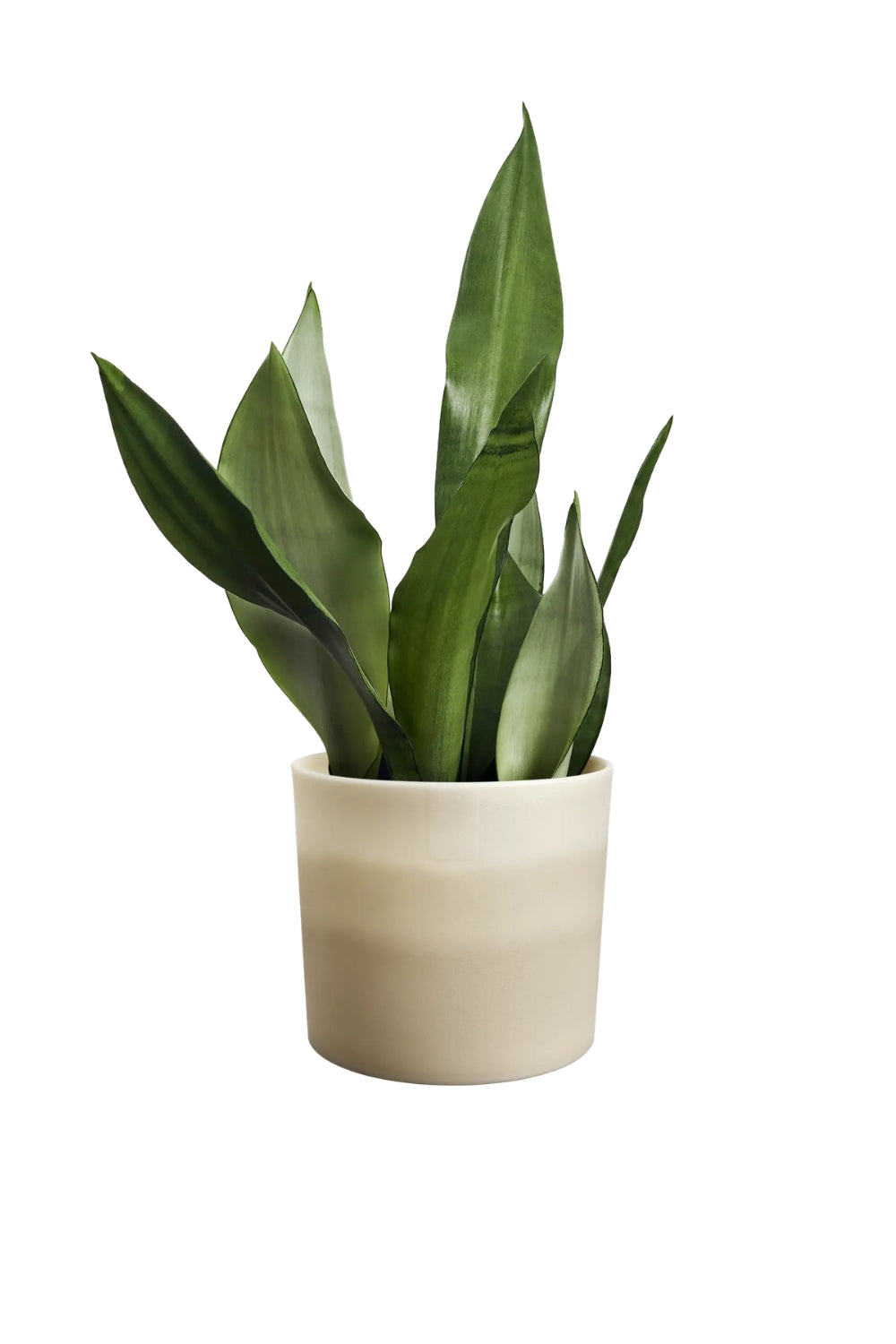 Bloempot Elho colour gradient rond 14cm zandsteen beige