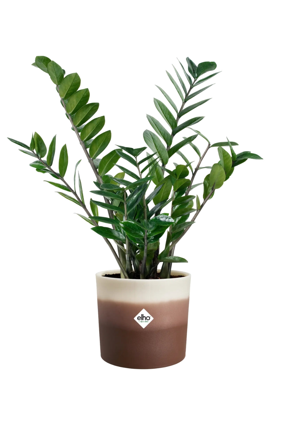 Bloempot Elho colour gradient rond 18cm cederbruin