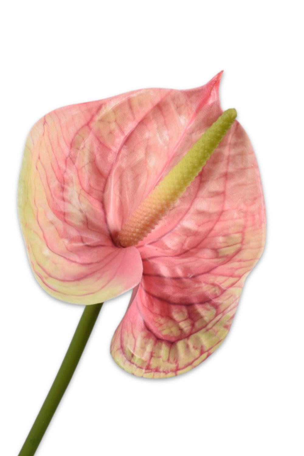 Anthurium Kunstbloem Roze 66cm
