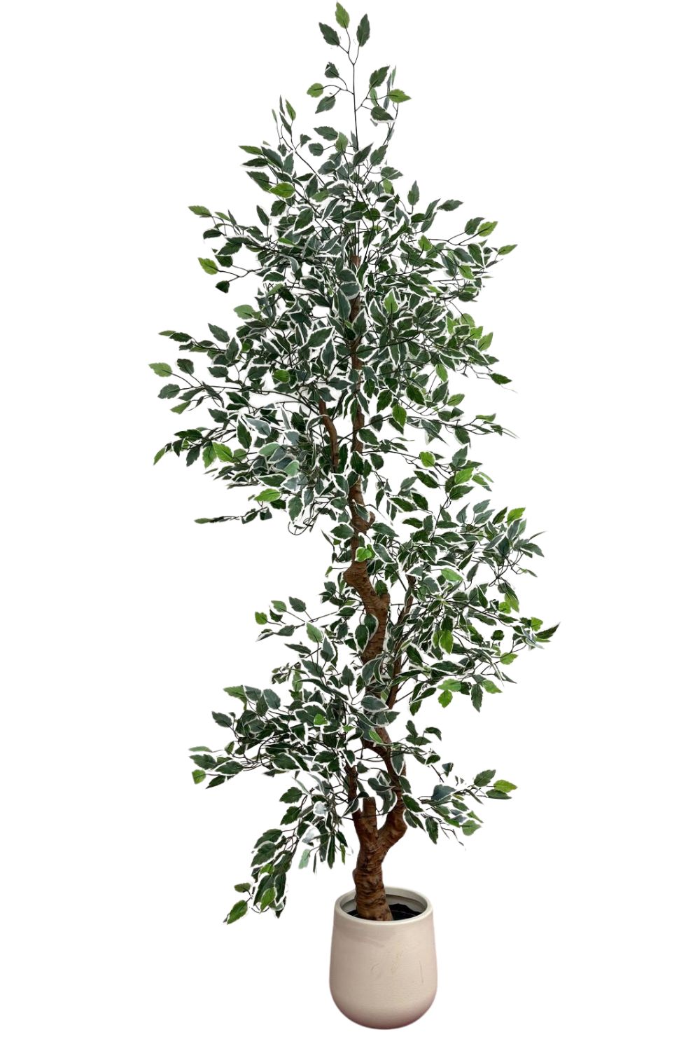 Ficus Kunstplant 200cm