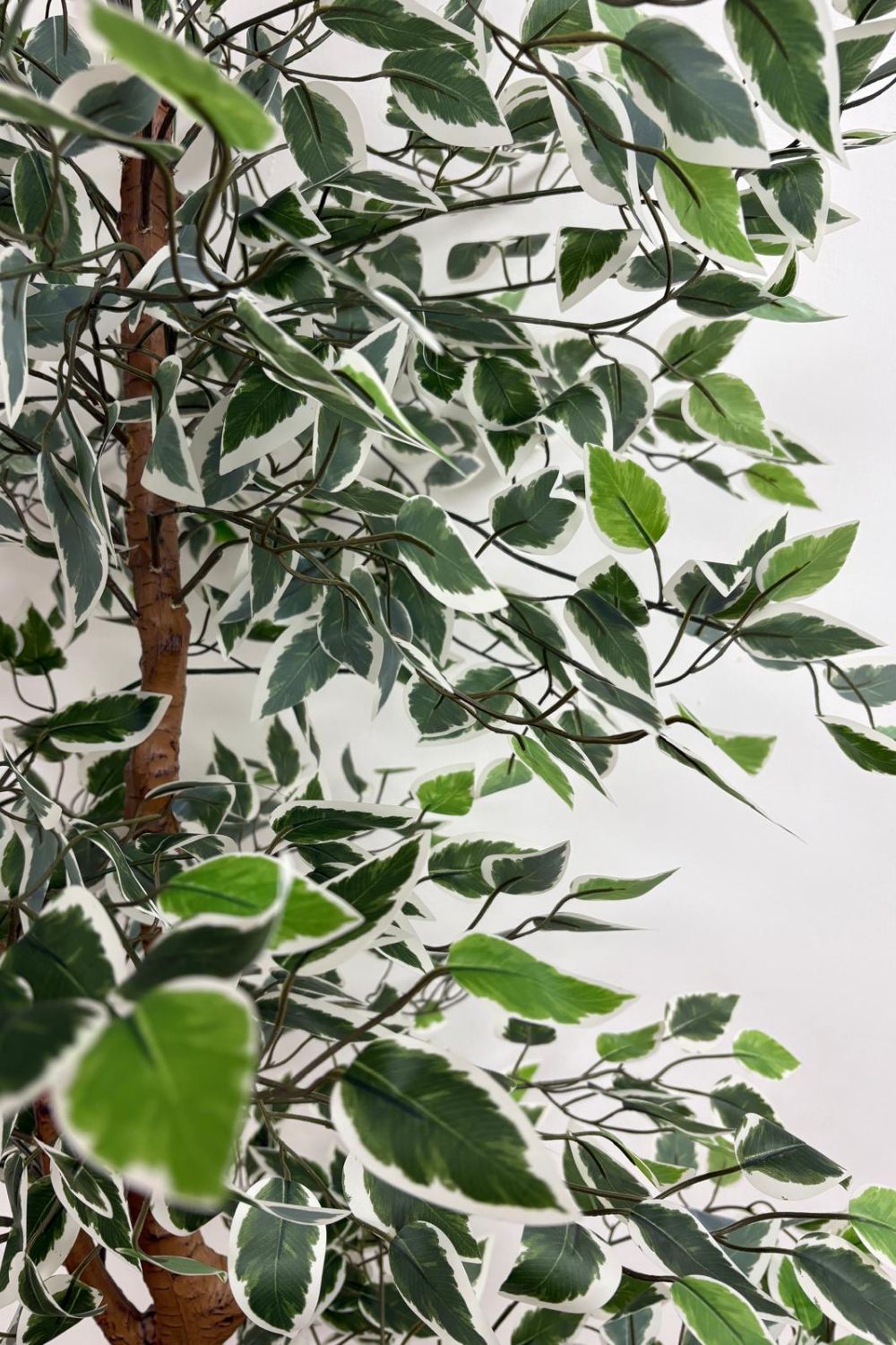 Ficus Kunstplant 200cm