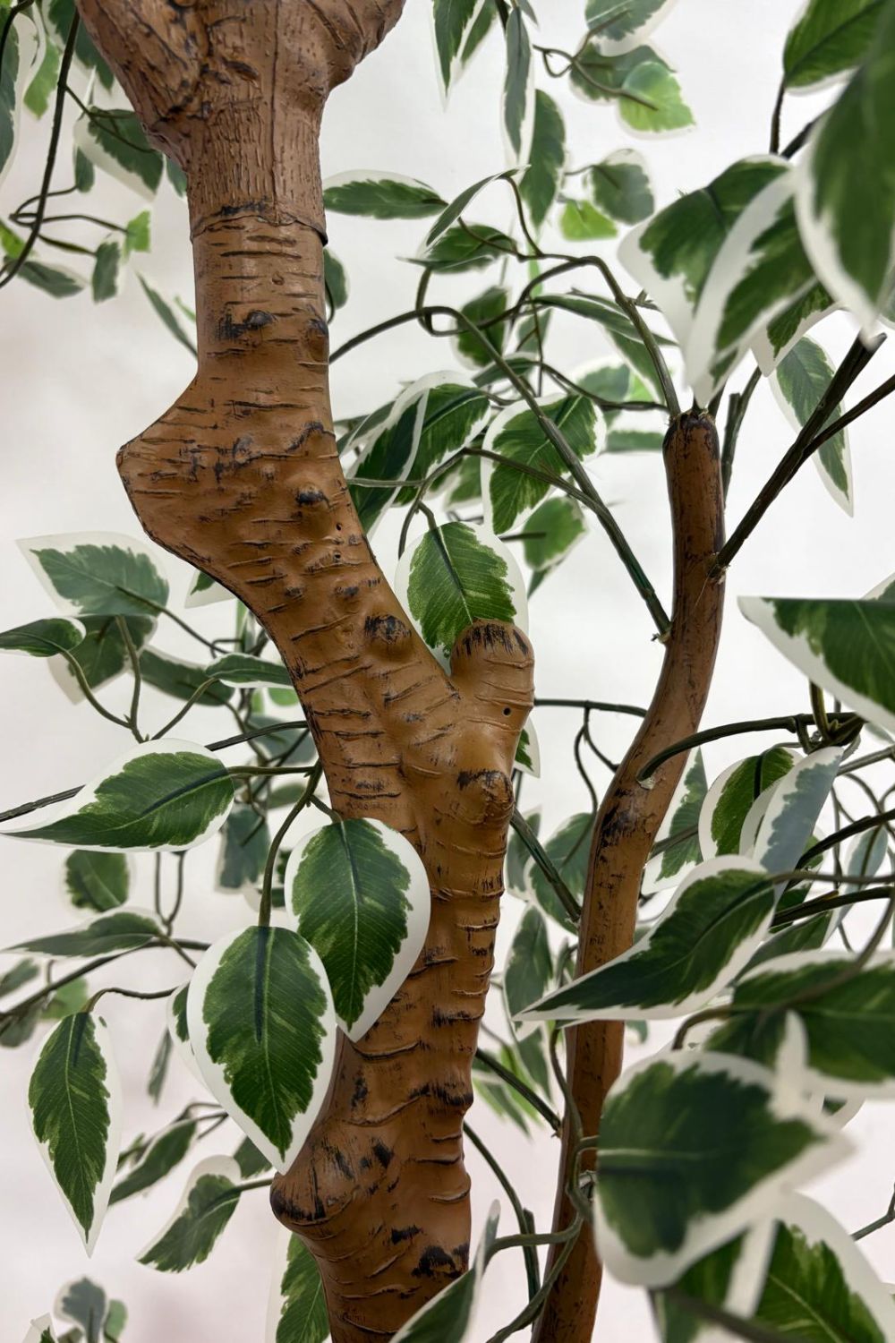 Ficus Kunstplant 200cm