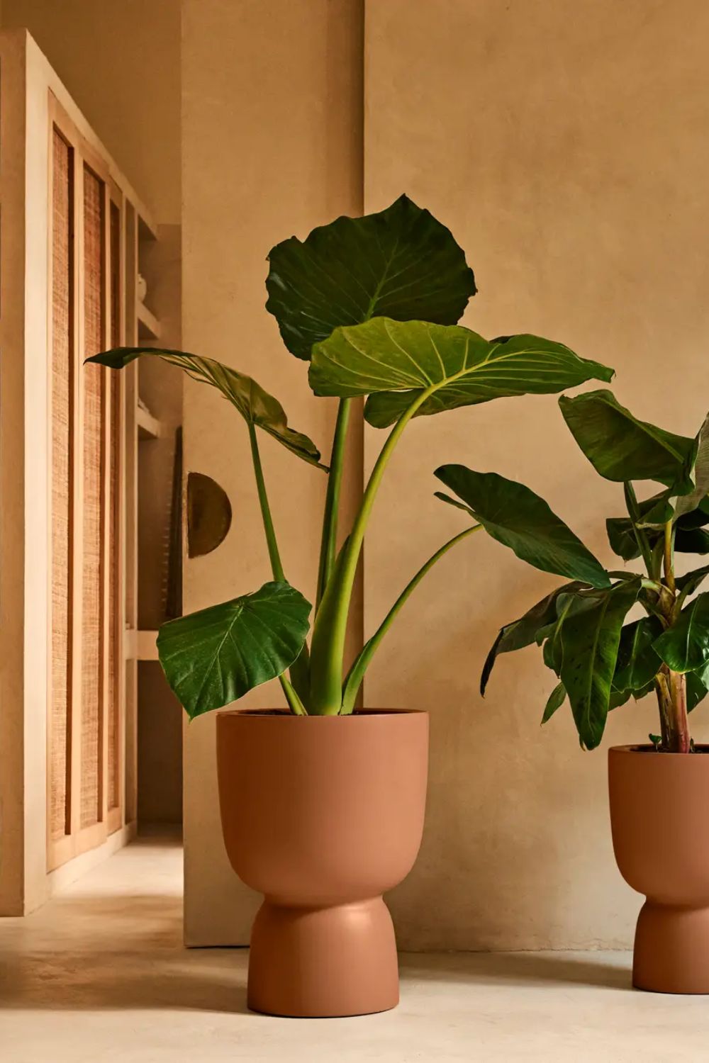 Bloempot Elho Amber Coupe 41cm Karamel