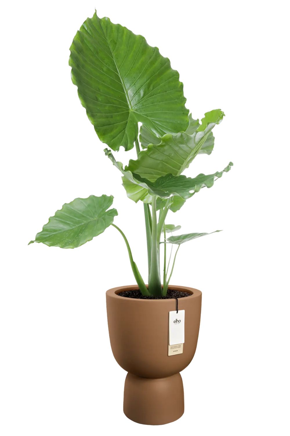 Bloempot Elho Amber Coupe 41cm Karamel