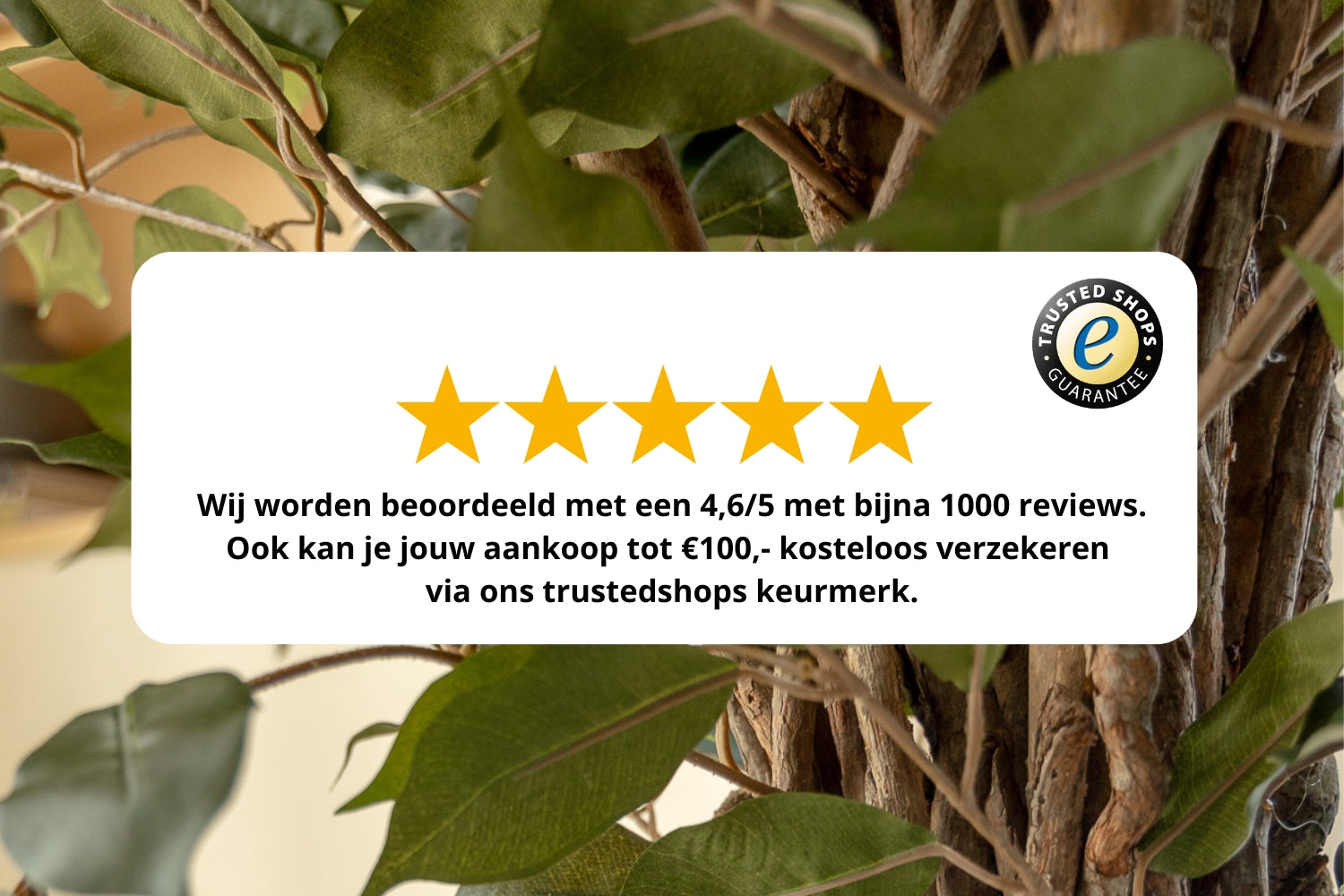 Reviews en keurmerk PrettyPlants Kunstplanten