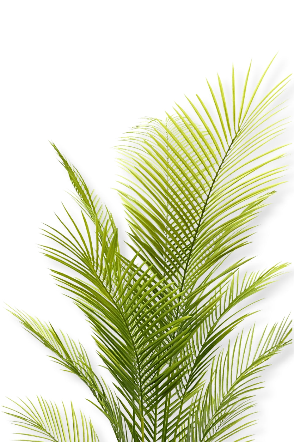 Kunstpalm 180cm