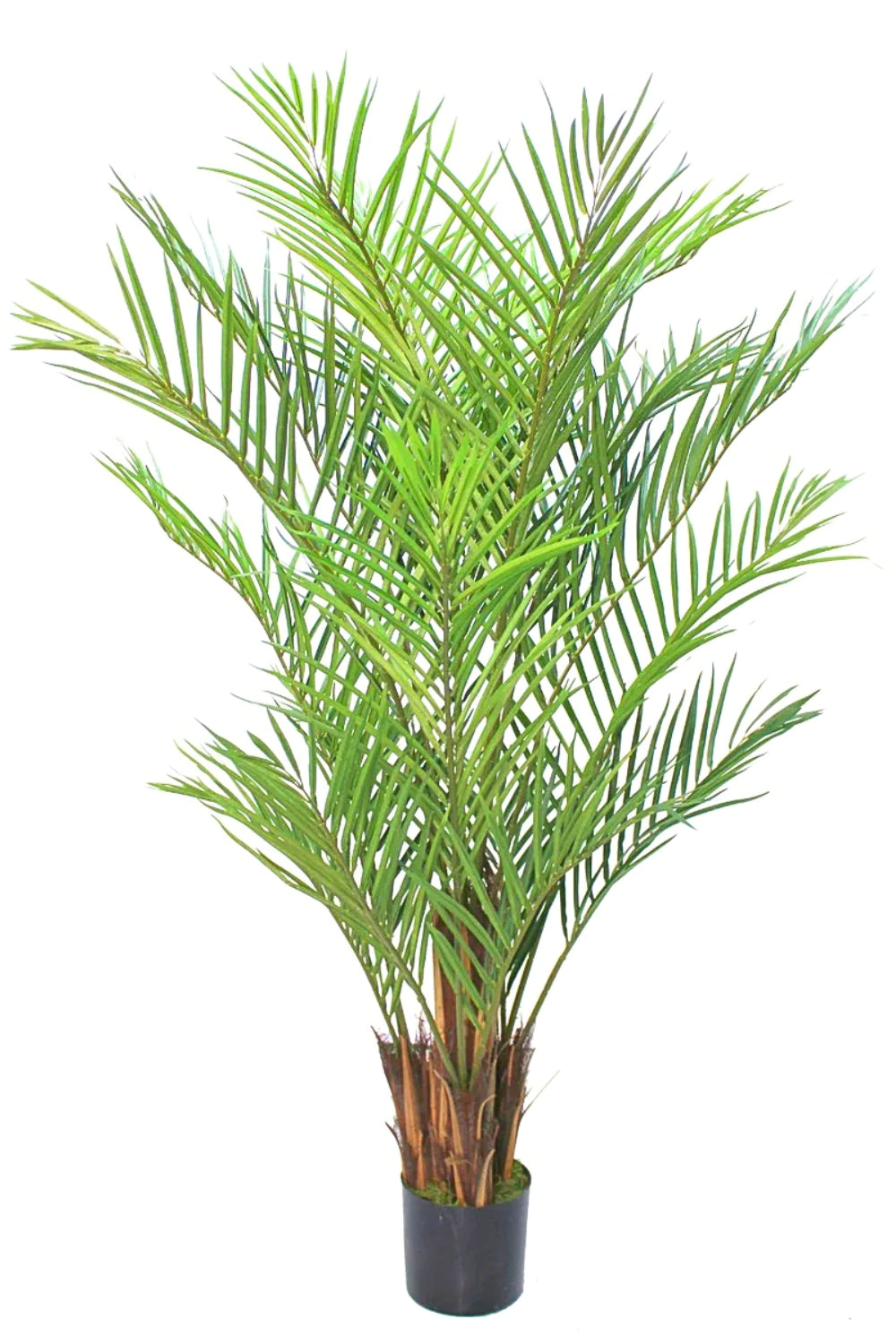 Kunstpalm 180cm