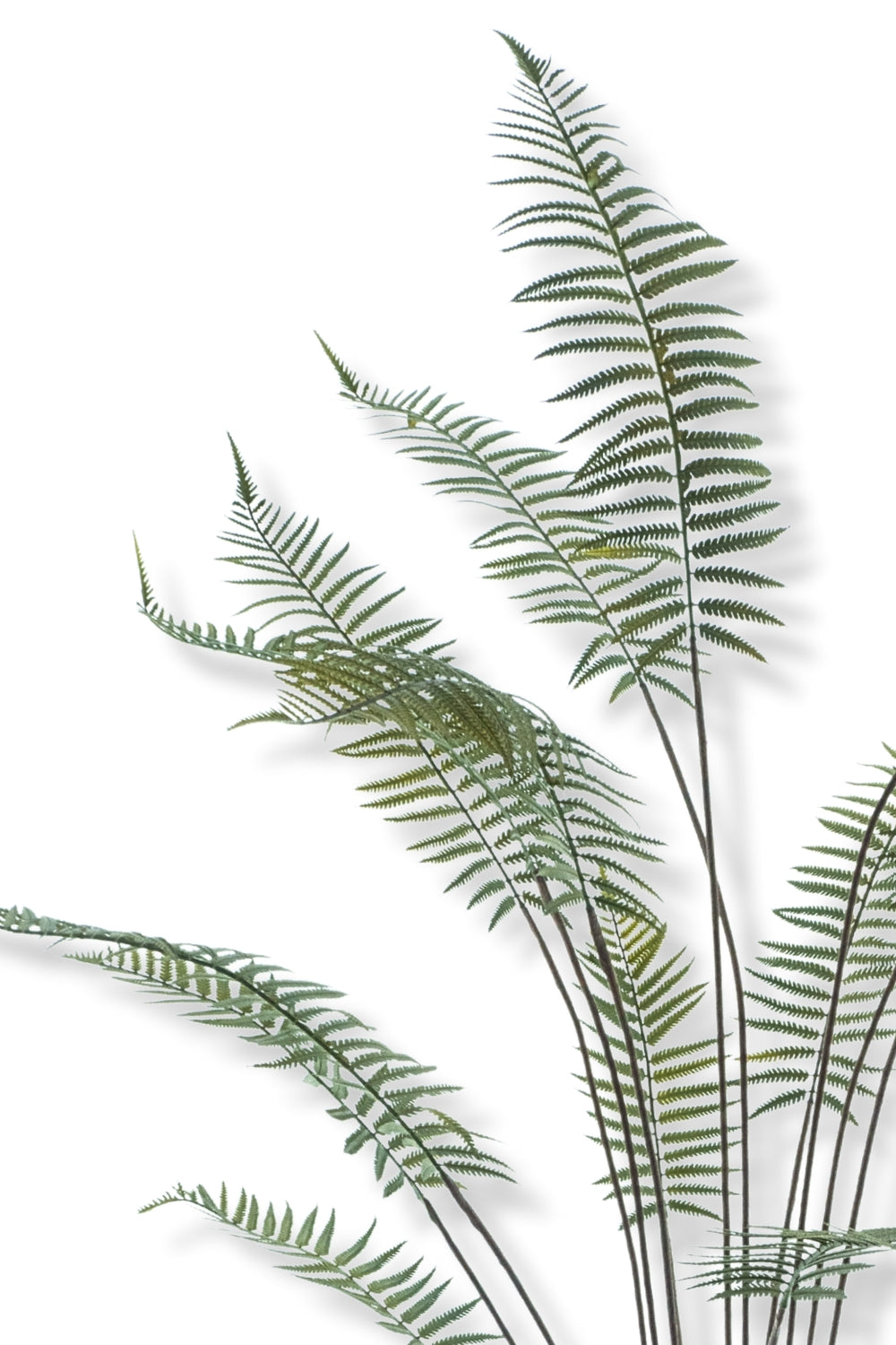 Kunst Palmvaren 180cm
