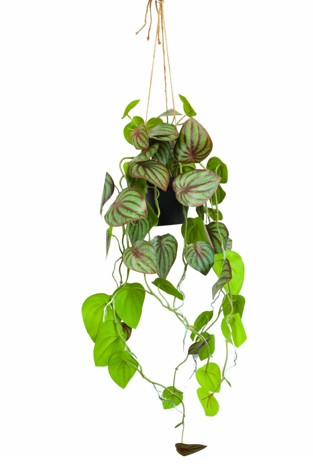 Pothos Kunst Hangplant 70 cm