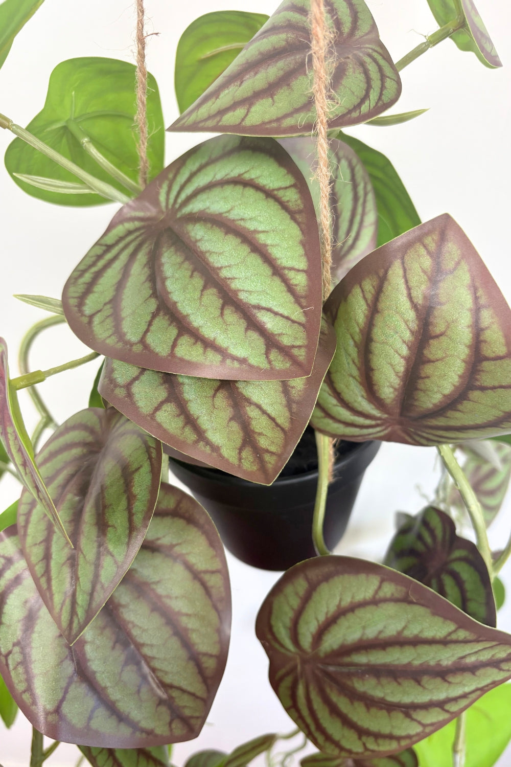 details Pothos Kunst Hangplant 70 cm