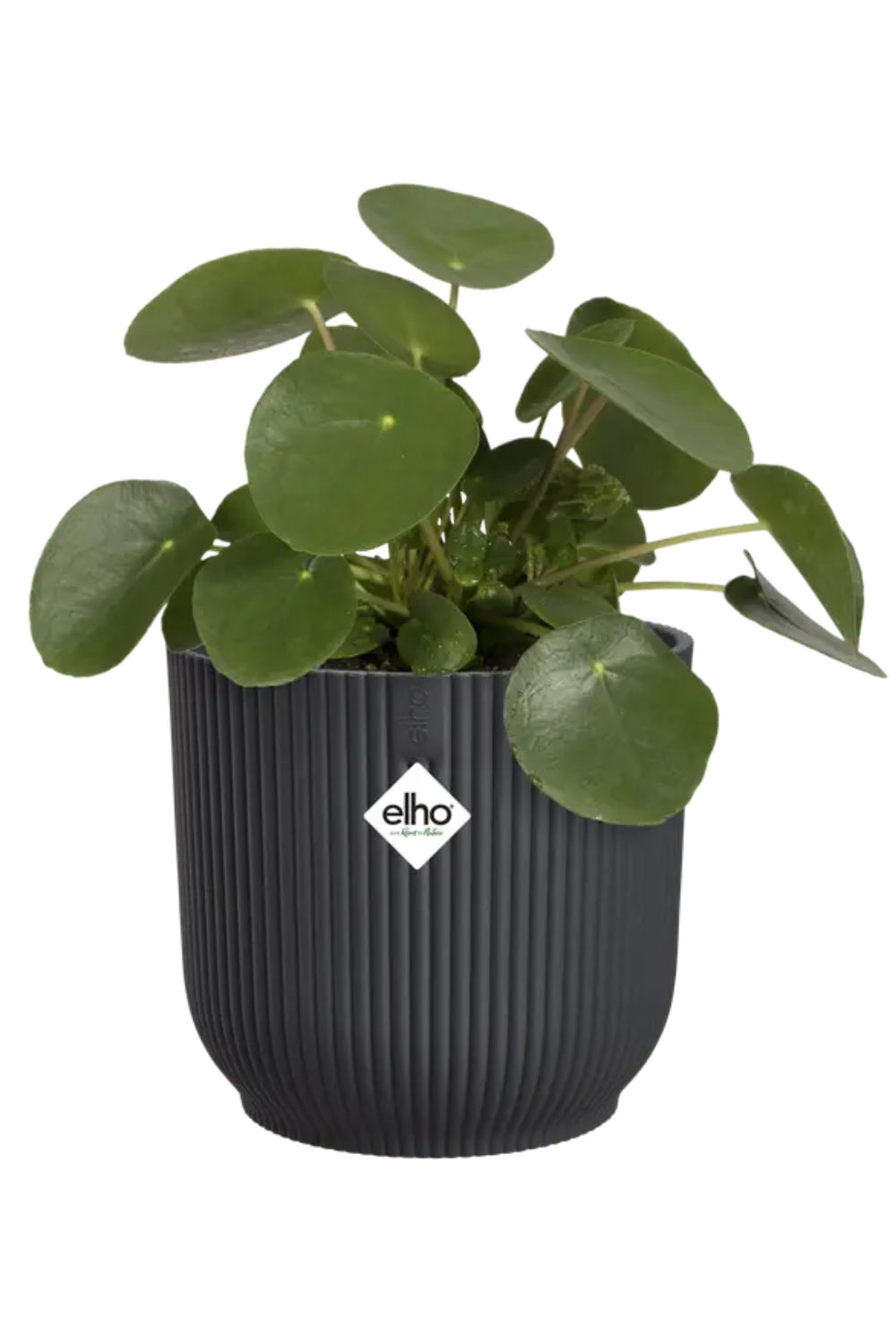 Bloempot Elho Vibes Fold rond 16 cm Antraciet