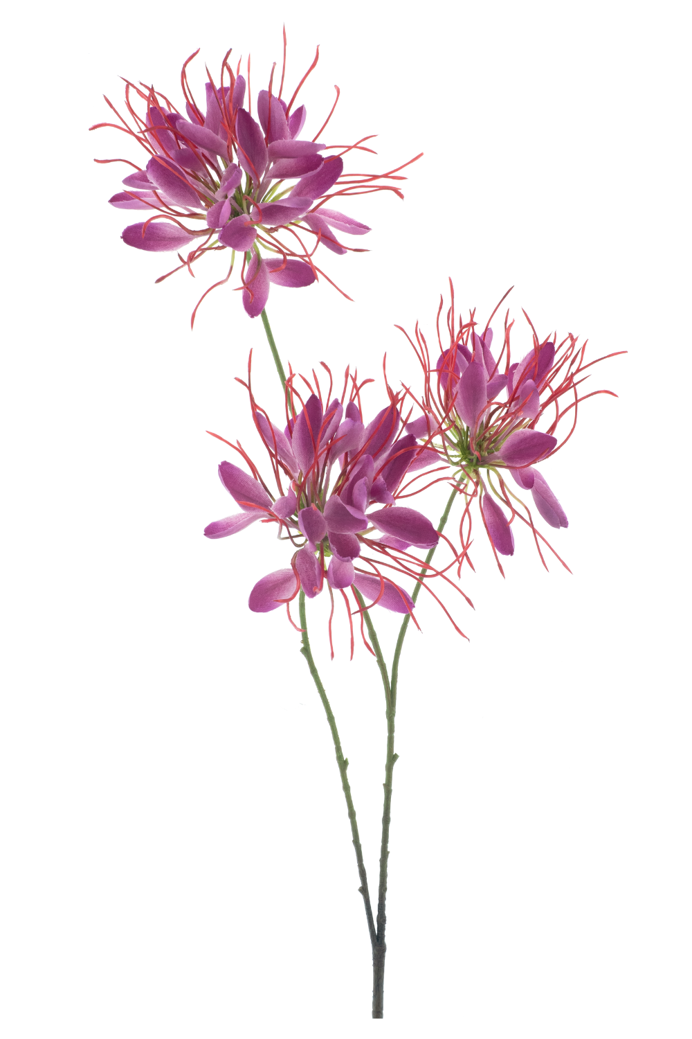 Spider Kunstbloem beauty 94cm