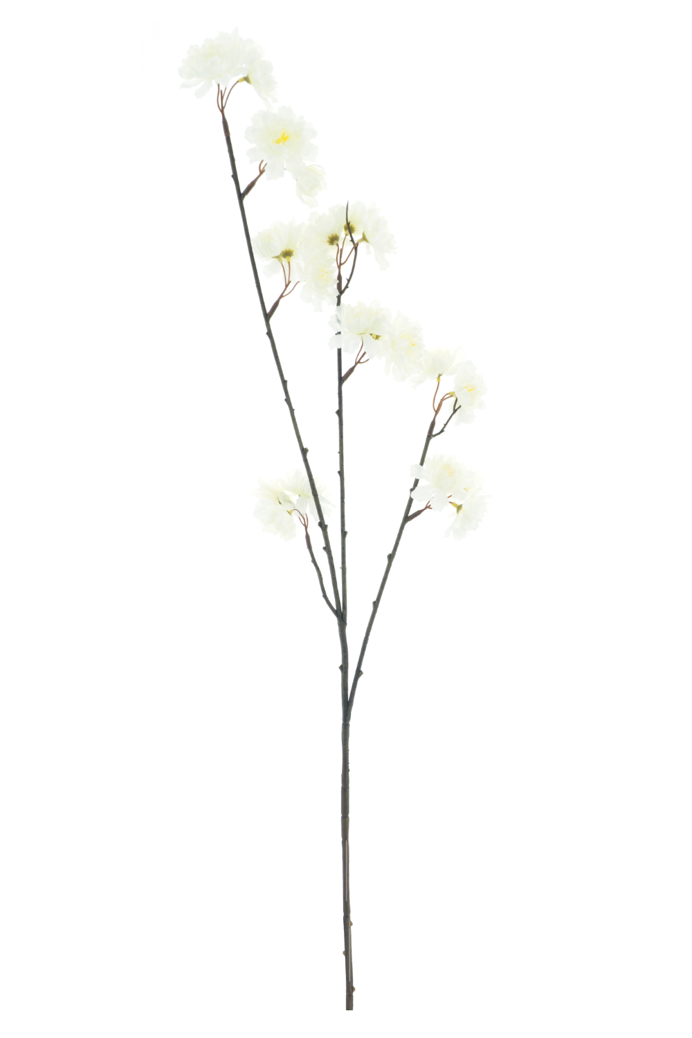 Prunus Denver Kunsttak creme 84cm