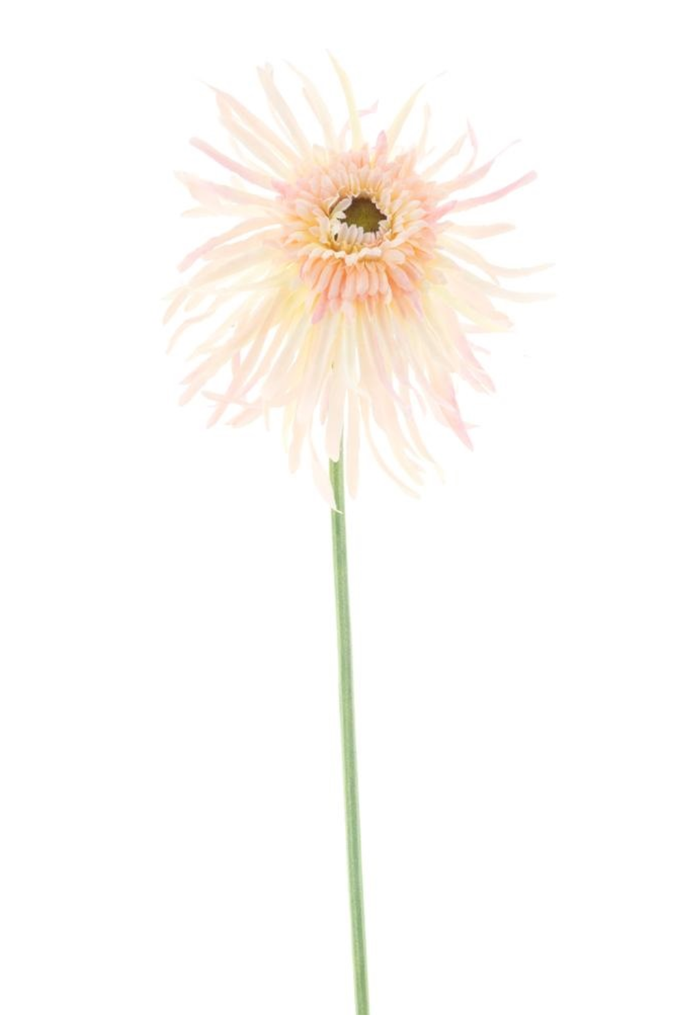 Spider Gerbera Kunstbloem creme/roze 65cm