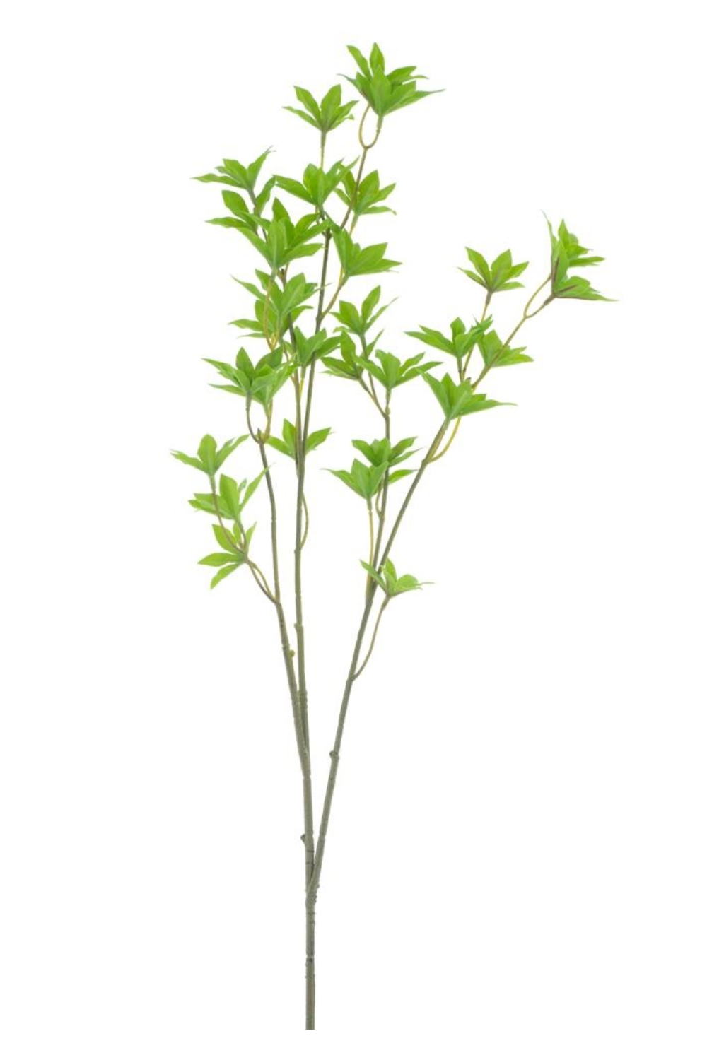 Esdoorn Lente kunsttak 75cm