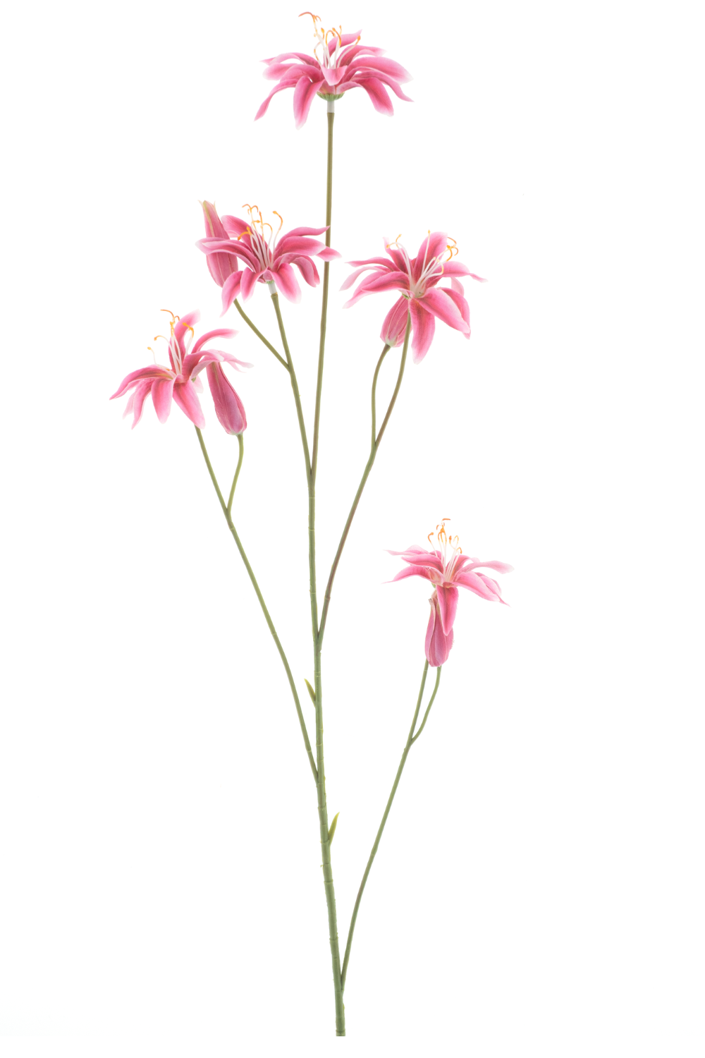 Wilde Lelie Kunstbloem Rood 75cm