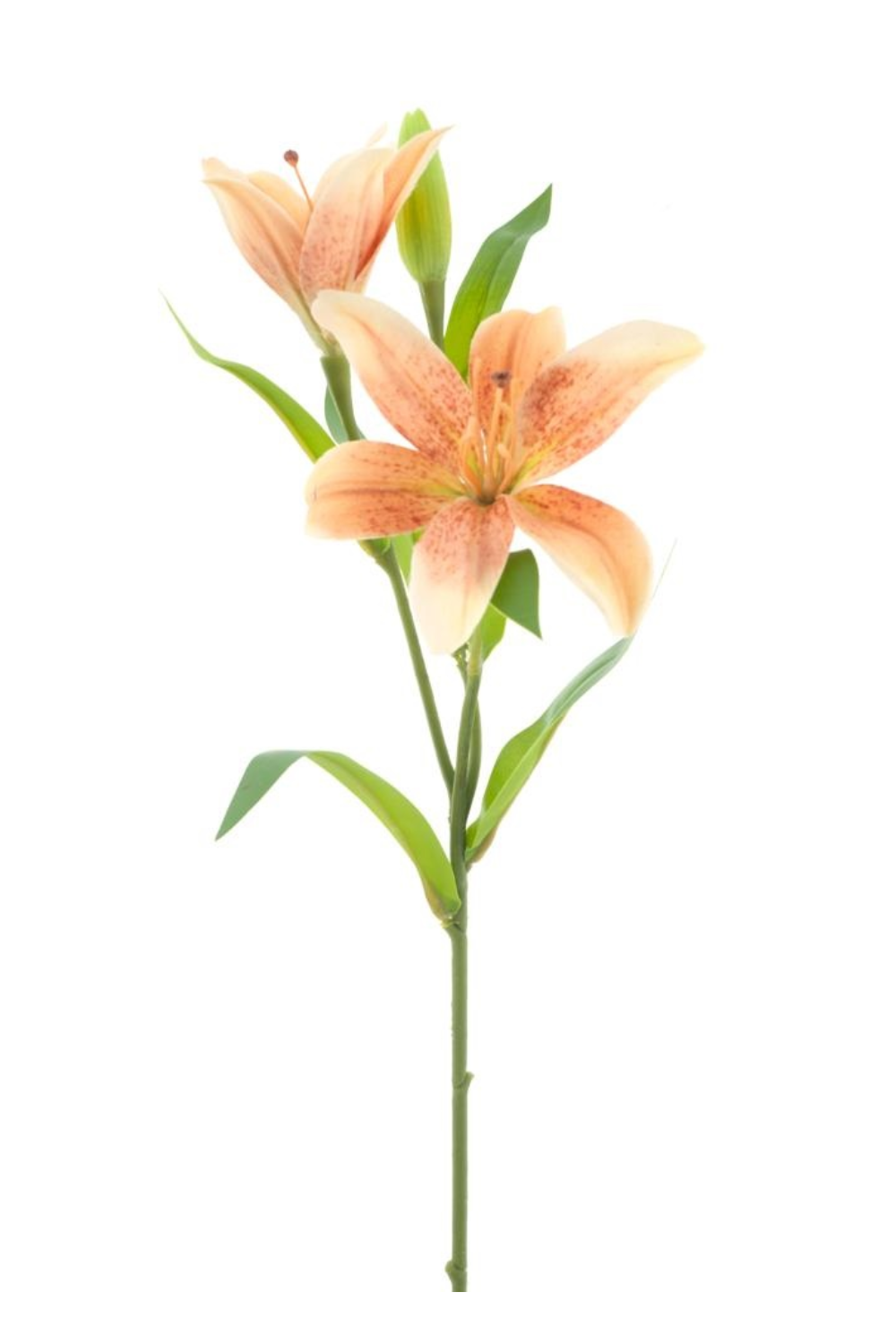 Lelie Kunstbloem Jakarta perzik 53cm