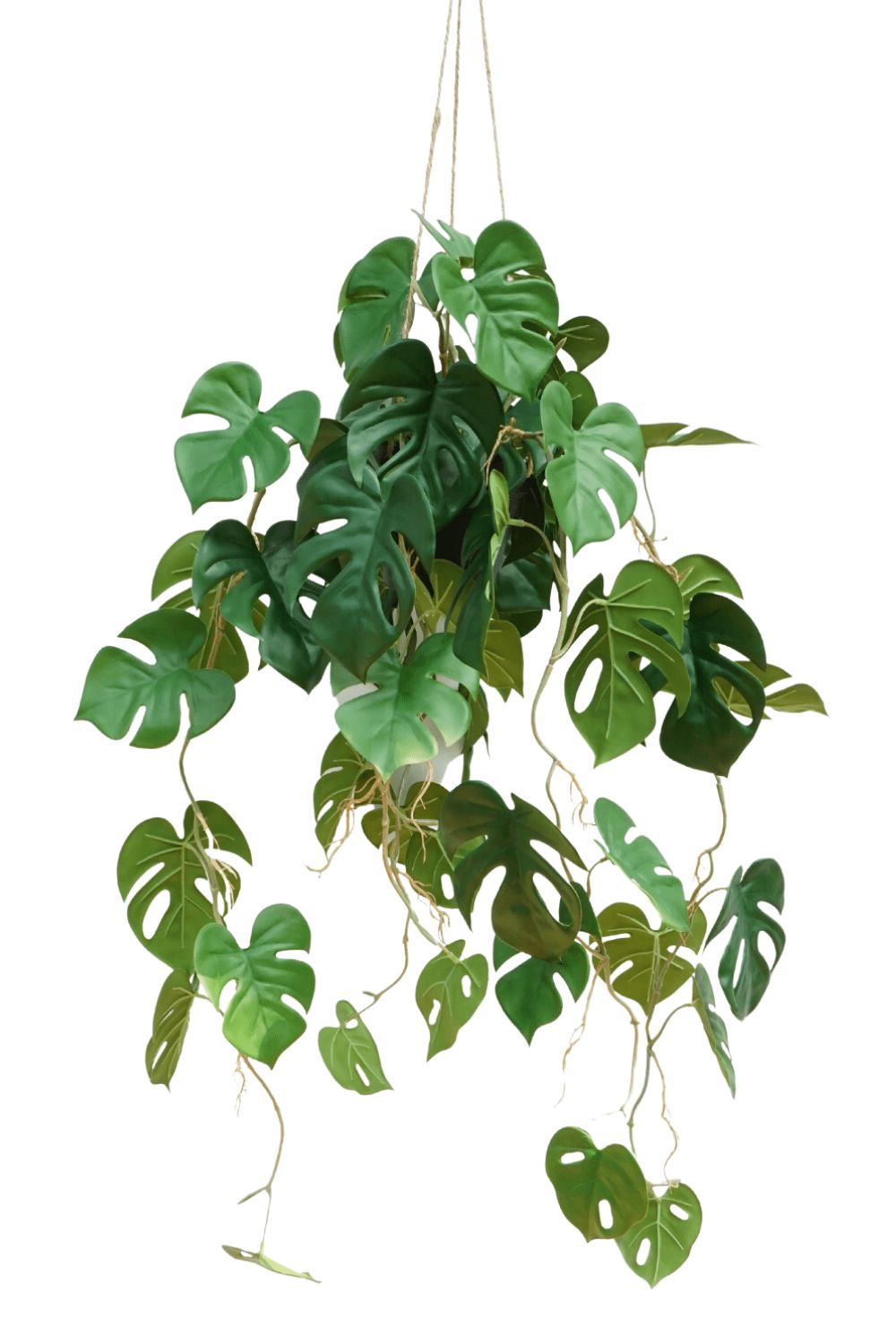 monstera kunst hangplant