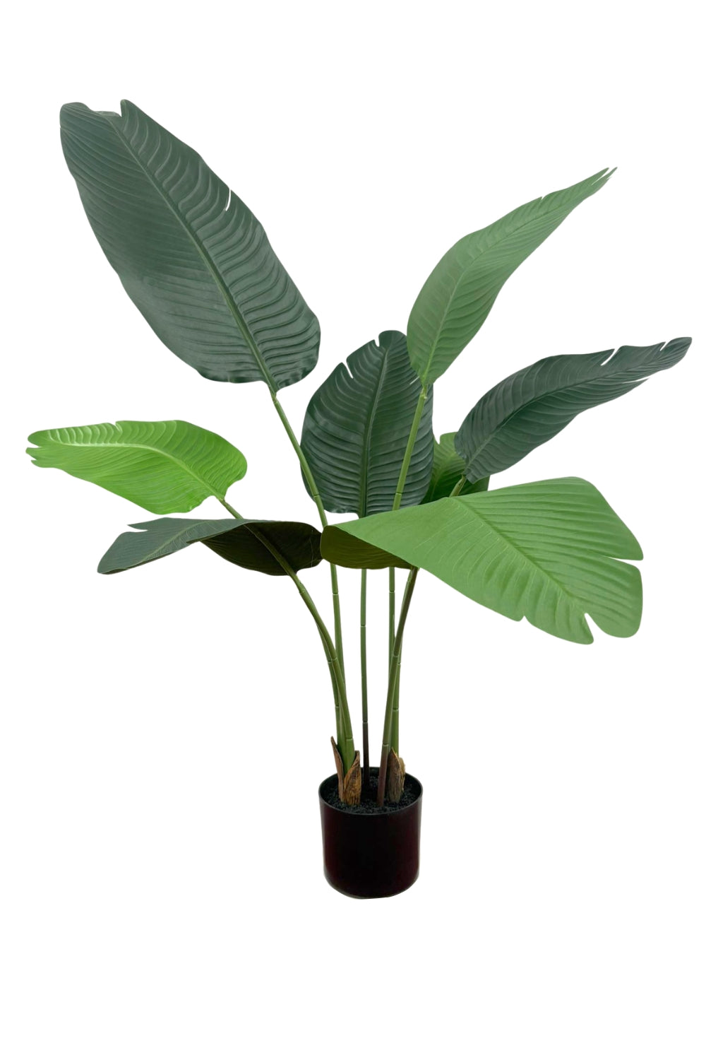 Strelitzia Kunstplant 120cm Budget
