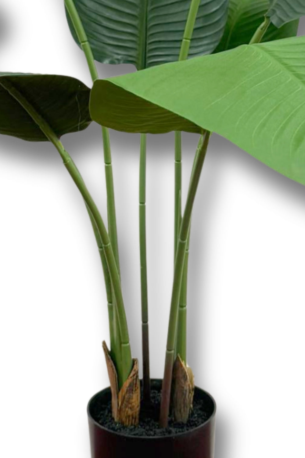 Strelitzia Kunstplant 120cm Budget