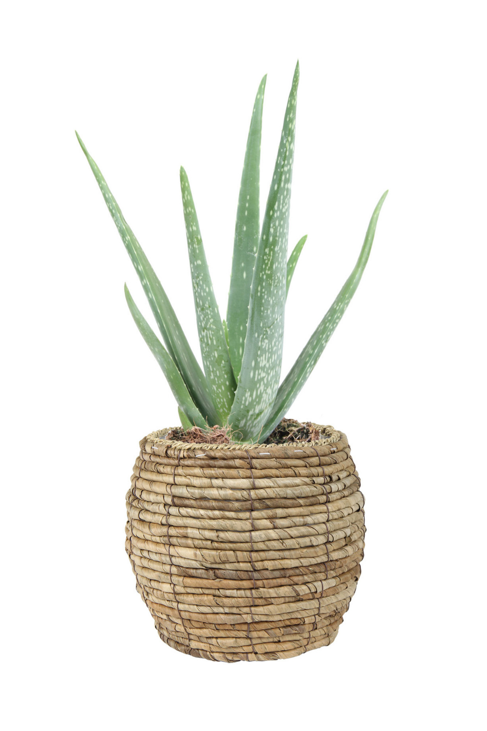 Bloempot Lida Bruin 17Hx12Øx12Ø