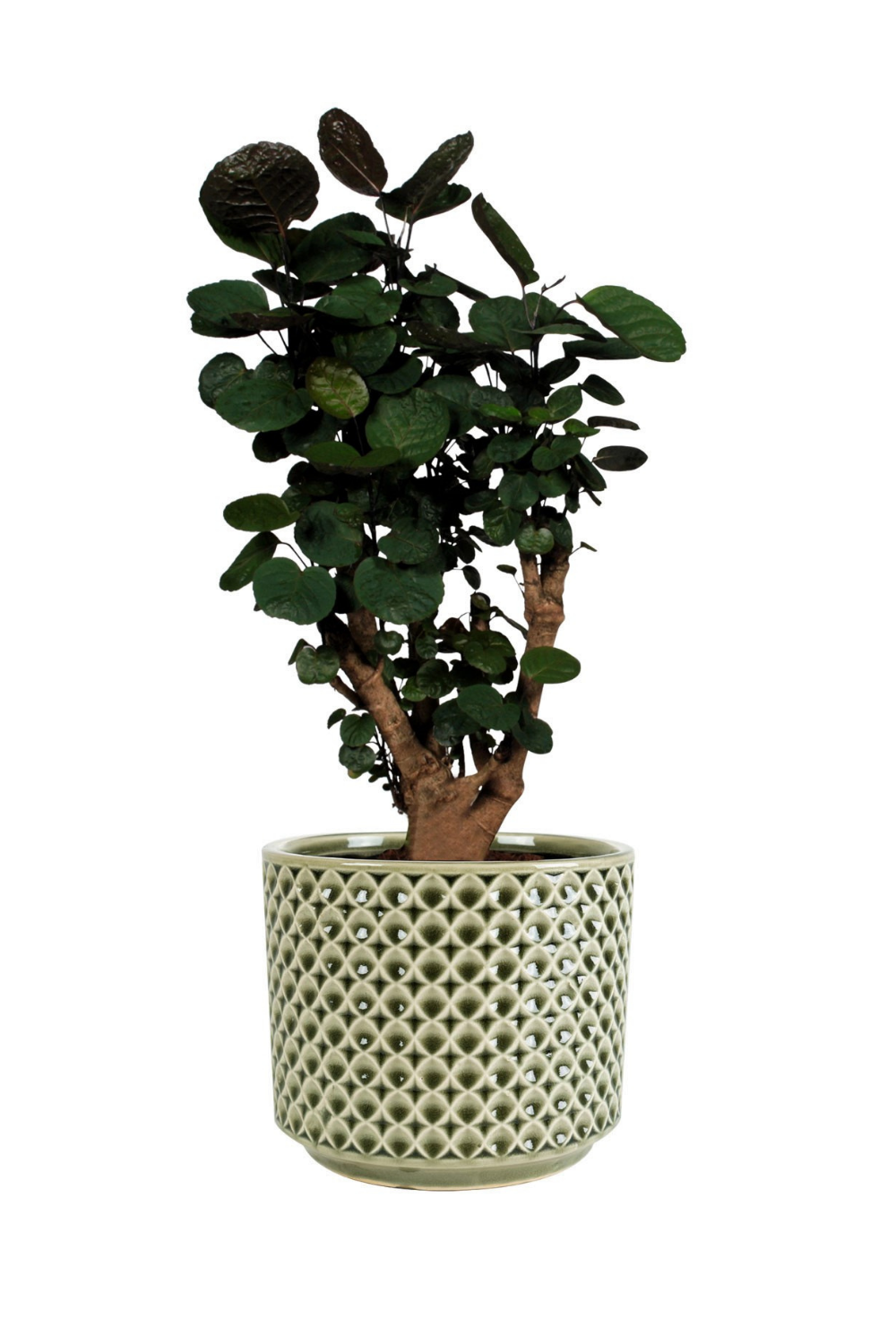 Bloempot Thies Olive Green 16Hx17Øx15Ø