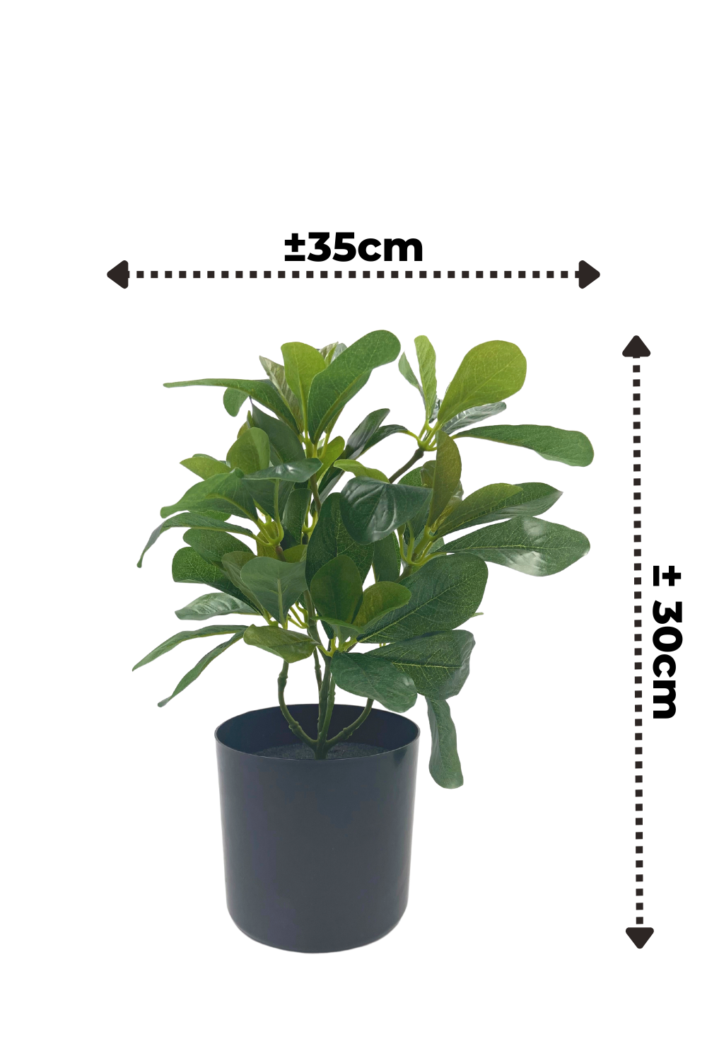 Schefflera Kunstplant 30cm