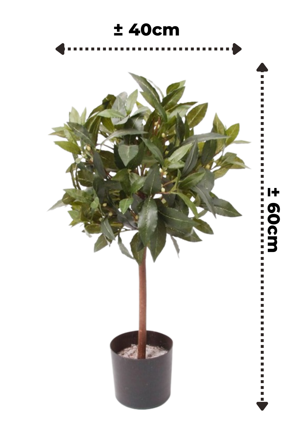 afmetingen Laurier Kunstplant 60cm