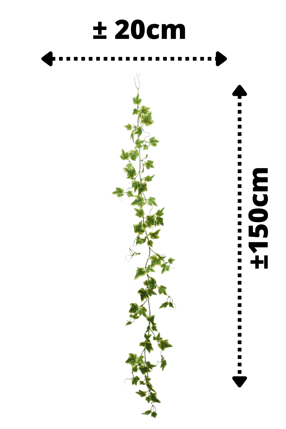 afmetingen Hedera Kunstslinger 1 150cm (guirlande)