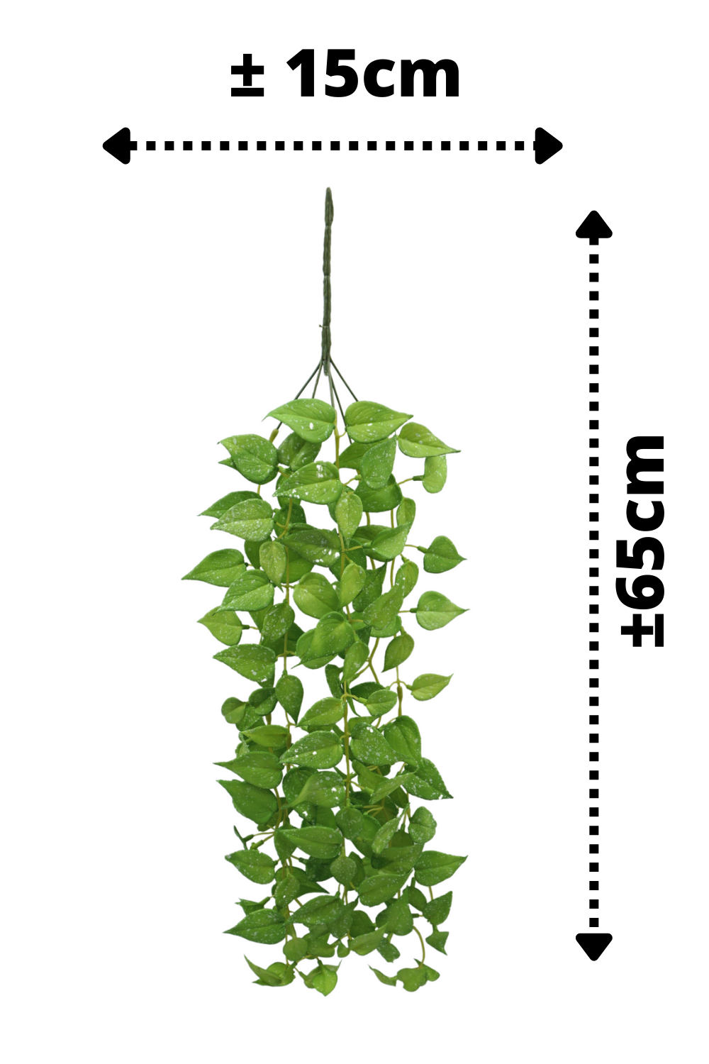 Afmetingen Anthurium kunst hangplant